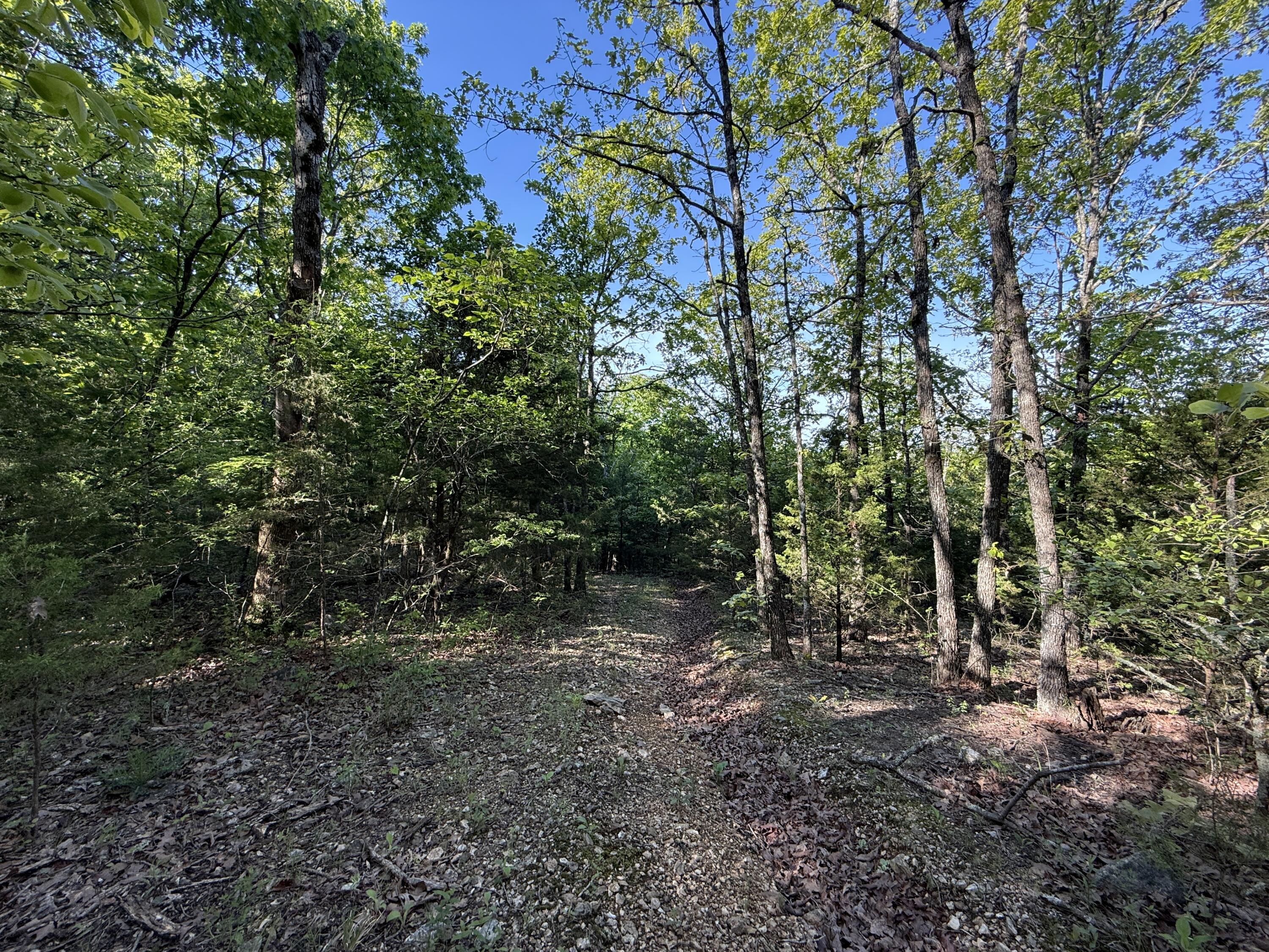 Photo 26 - Residential for sale – 13080  County Road Ee   Cabool, MO