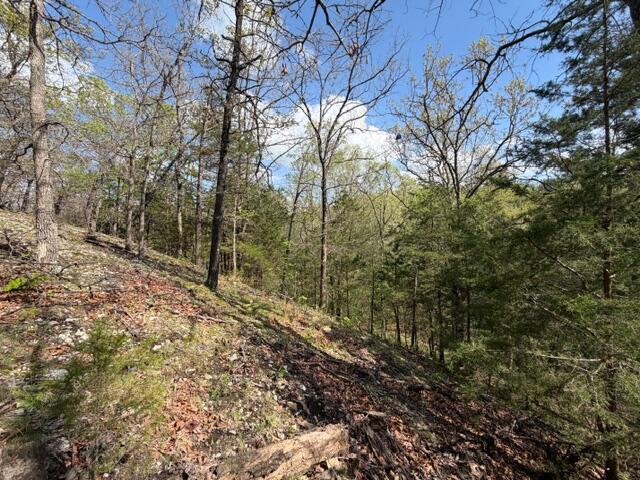 Photo 4 - Land for sale – Tbd W Farm Road 34   Brighton, MO