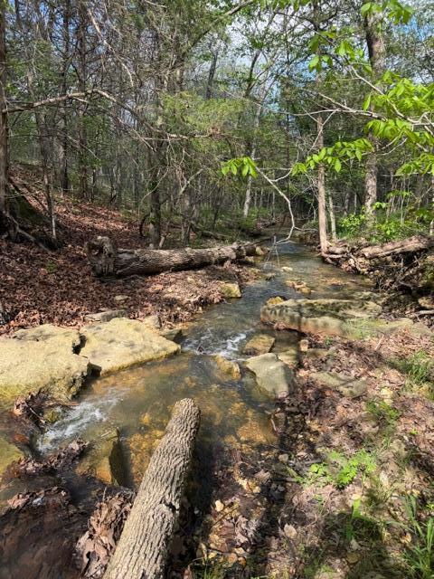 Photo 18 - Land for sale – Tbd W Farm Road 34   Brighton, MO