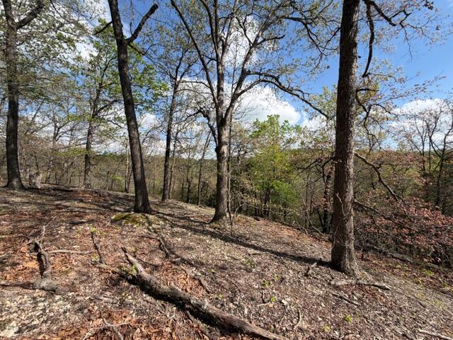 Photo 8 - Land for sale – Tbd W Farm Road 34   Brighton, MO