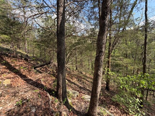 Photo 17 - Land for sale – Tbd W Farm Road 34   Brighton, MO