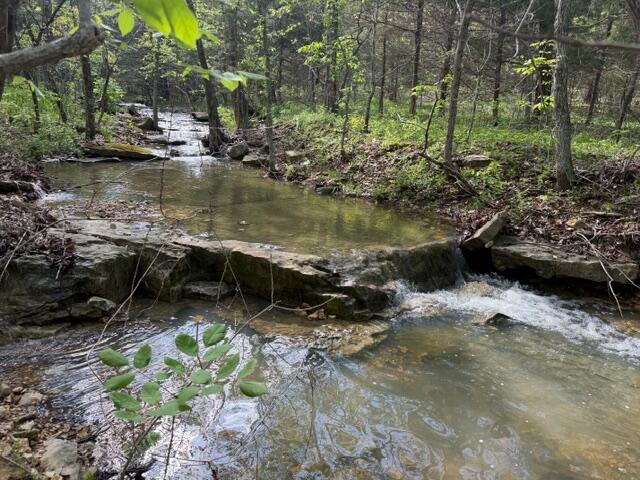 Photo 5 - Land for sale – Tbd W Farm Road 34   Brighton, MO