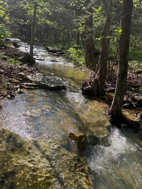 Photo 19 - Land for sale – Tbd W Farm Road 34   Brighton, MO