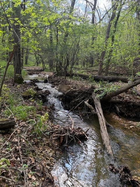 Photo 10 - Land for sale – Tbd W Farm Road 34   Brighton, MO
