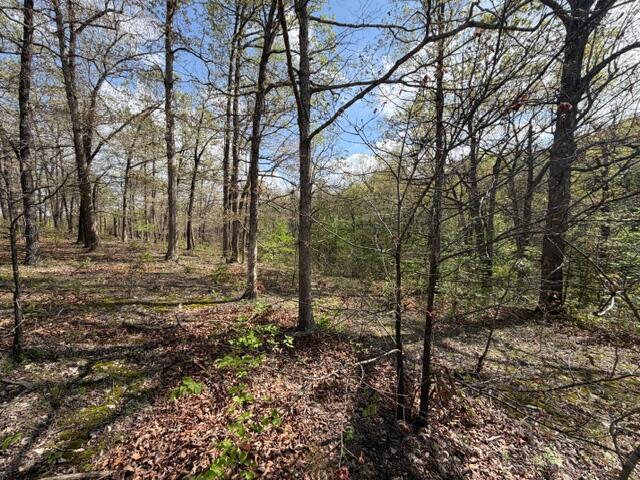 Photo 11 - Land for sale – Tbd W Farm Road 34   Brighton, MO