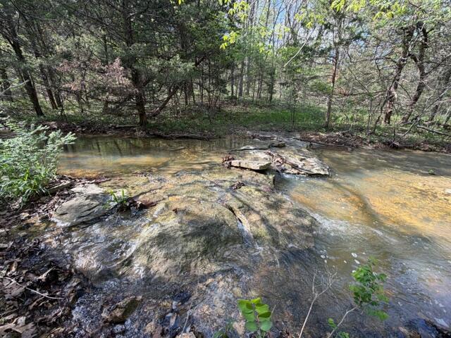 Photo 15 - Land for sale – Tbd W Farm Road 34   Brighton, MO