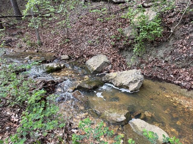 Photo 20 - Land for sale – Tbd W Farm Road 34   Brighton, MO