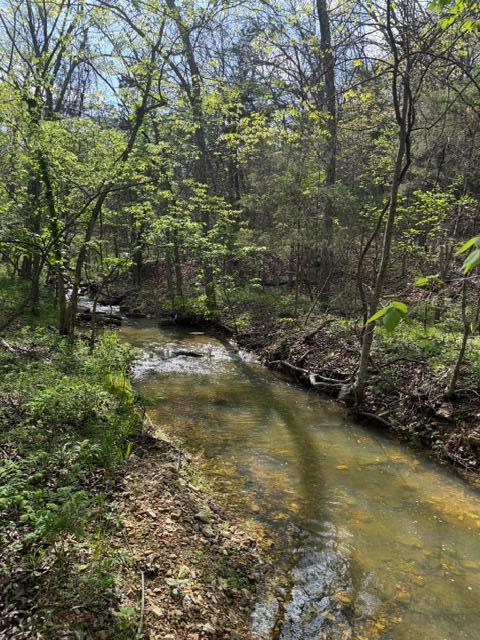 Photo 14 - Land for sale – Tbd W Farm Road 34   Brighton, MO