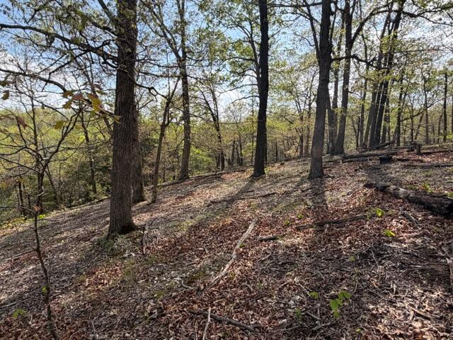 Photo 3 - Land for sale – Tbd W Farm Road 34   Brighton, MO