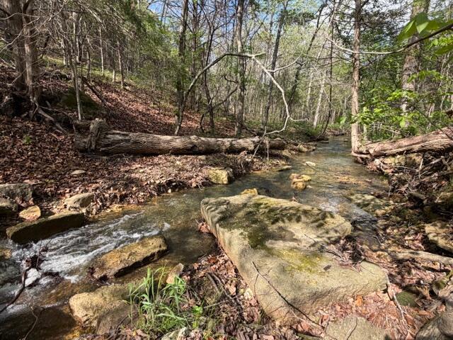 Photo 13 - Land for sale – Tbd W Farm Road 34   Brighton, MO