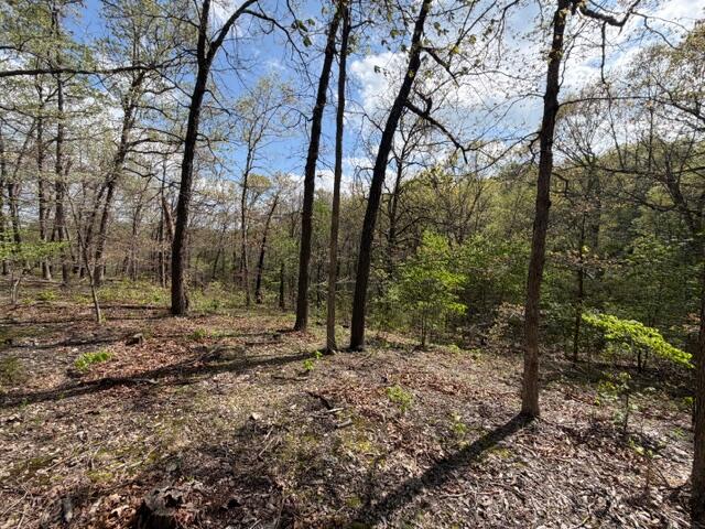 Photo 12 - Land for sale – Tbd W Farm Road 34   Brighton, MO