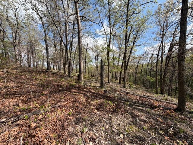 Photo 16 - Land for sale – Tbd W Farm Road 34   Brighton, MO
