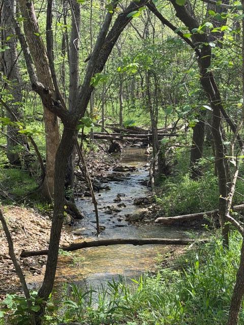 Photo 6 - Land for sale – Tbd W Farm Road 34   Brighton, MO