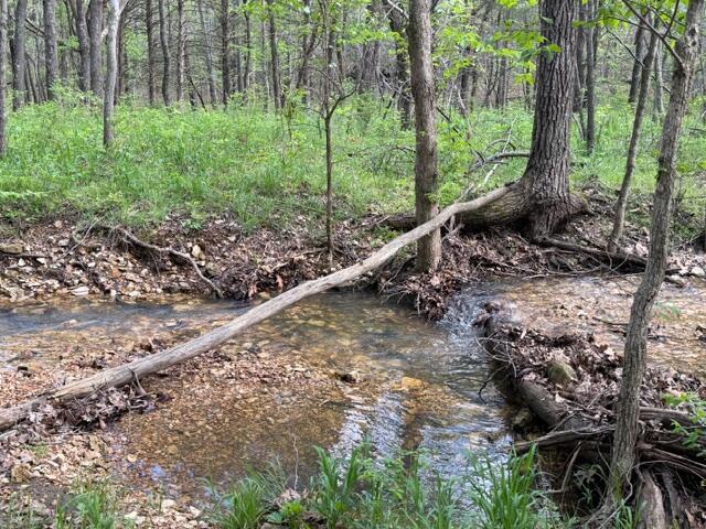 Photo 9 - Land for sale – Tbd W Farm Road 34   Brighton, MO