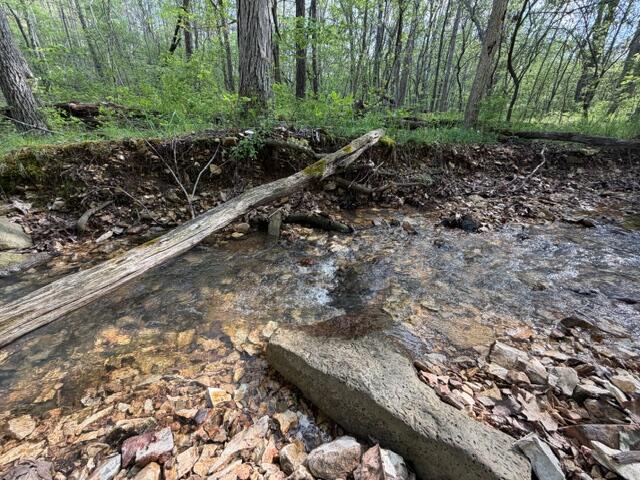 Photo 7 - Land for sale – Tbd W Farm Road 34   Brighton, MO