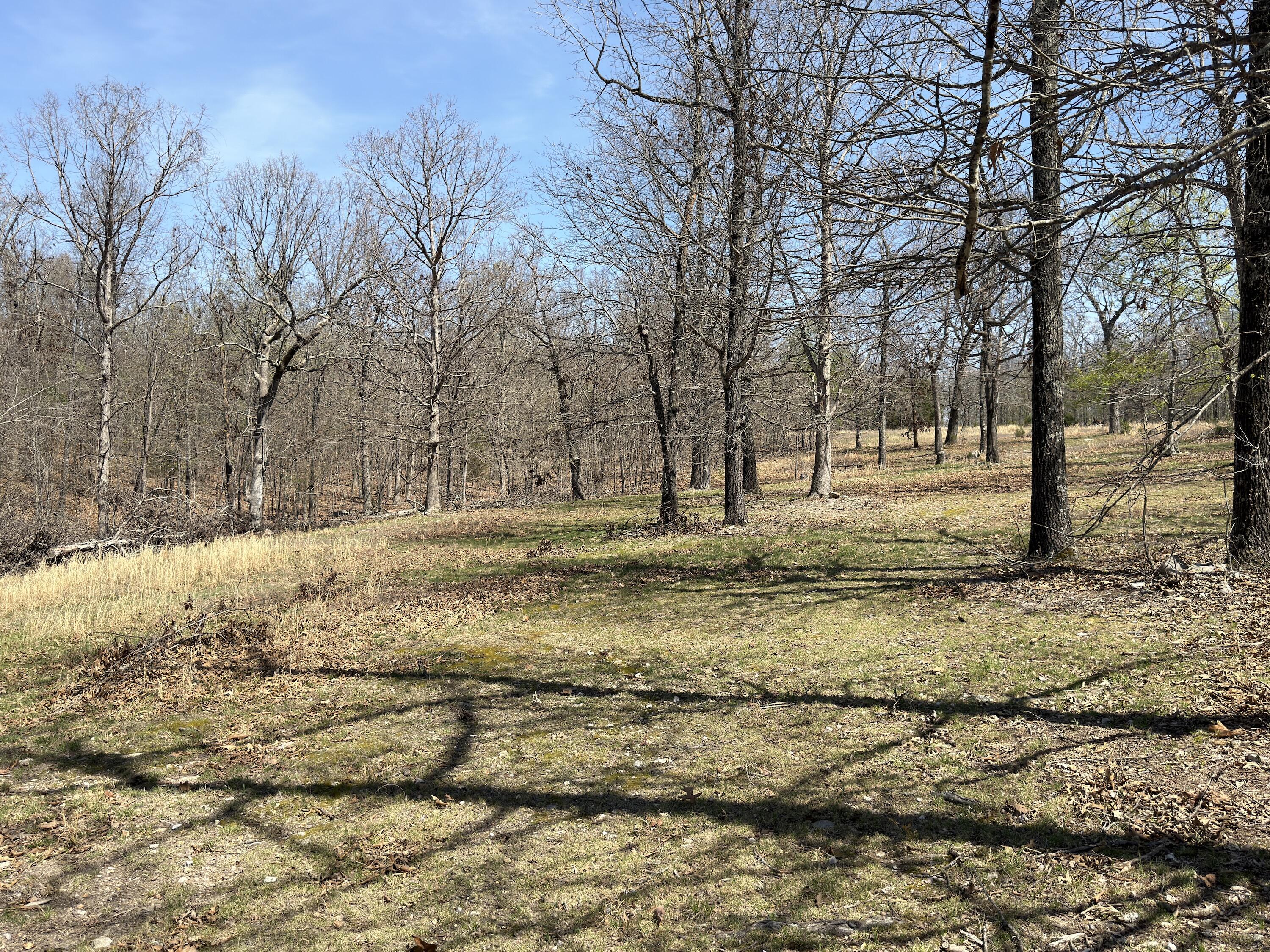 Photo 116 - Residential for sale – 2731  County Road 250   Thayer, MO