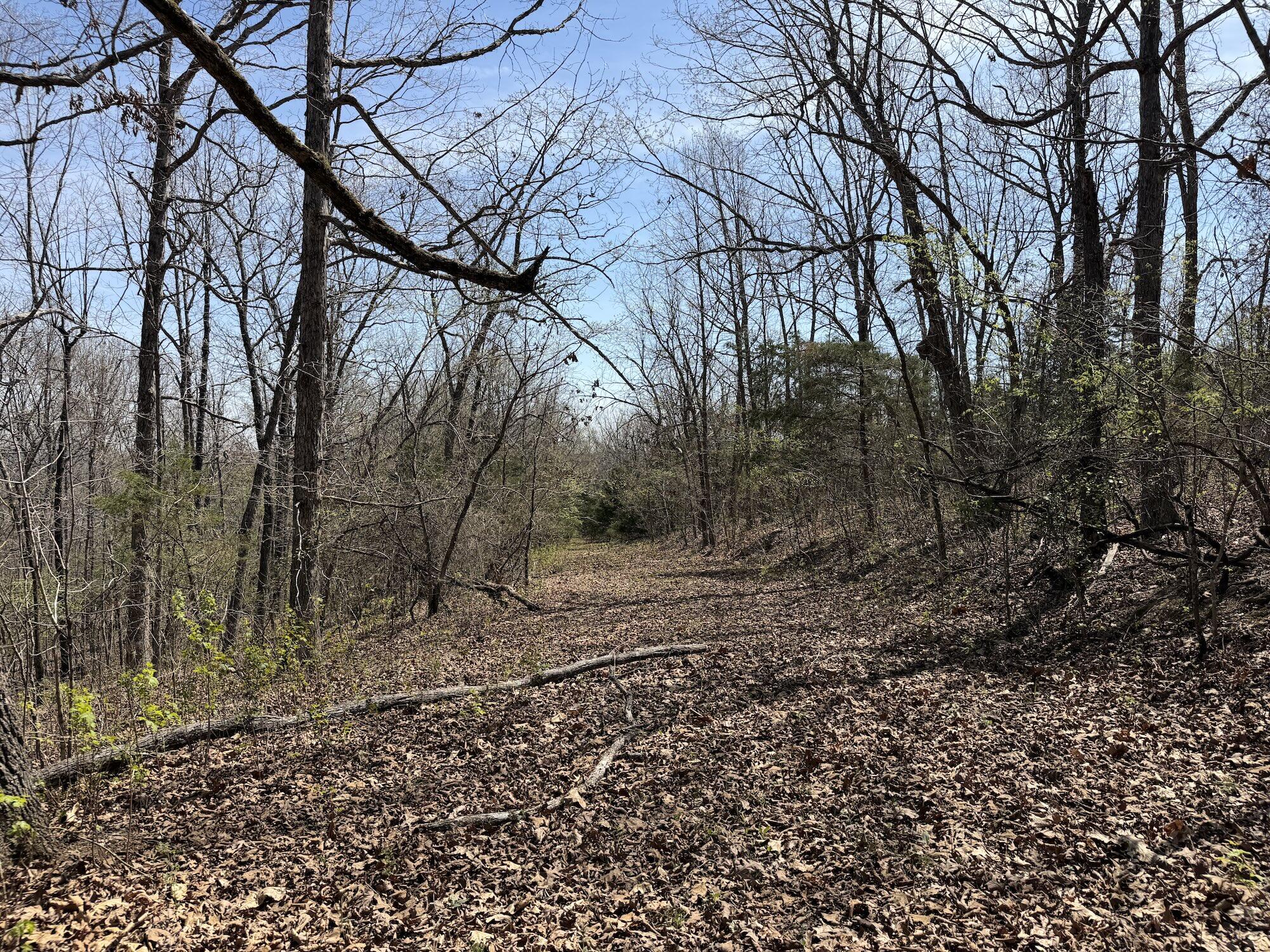 Photo 121 - Residential for sale – 2731  County Road 250   Thayer, MO