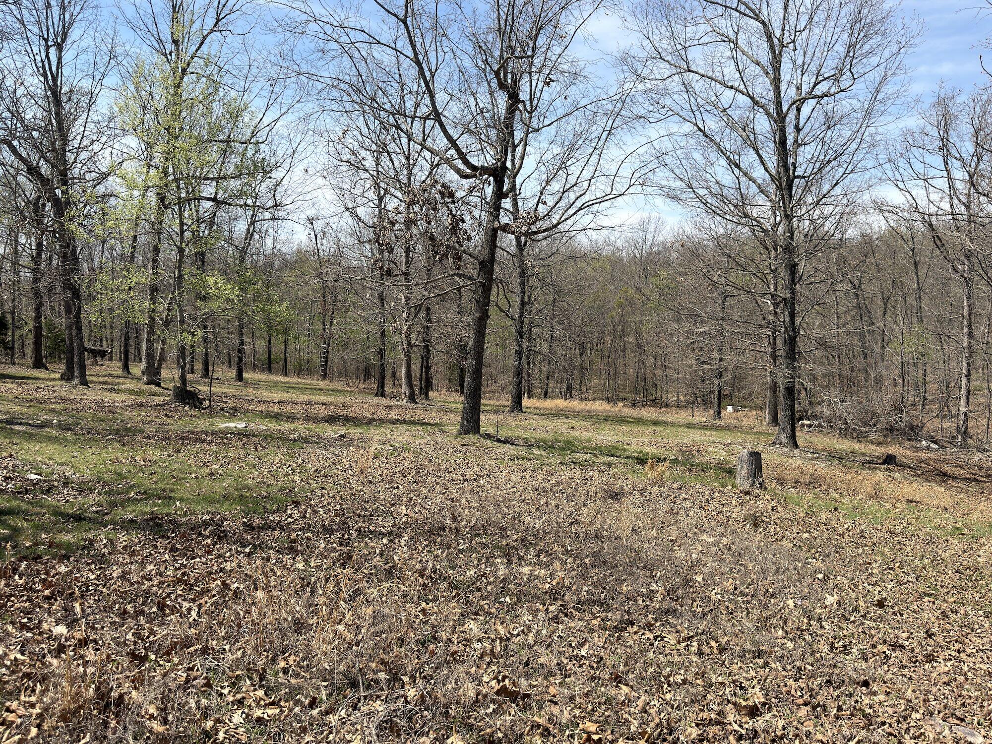 Photo 117 - Residential for sale – 2731  County Road 250   Thayer, MO