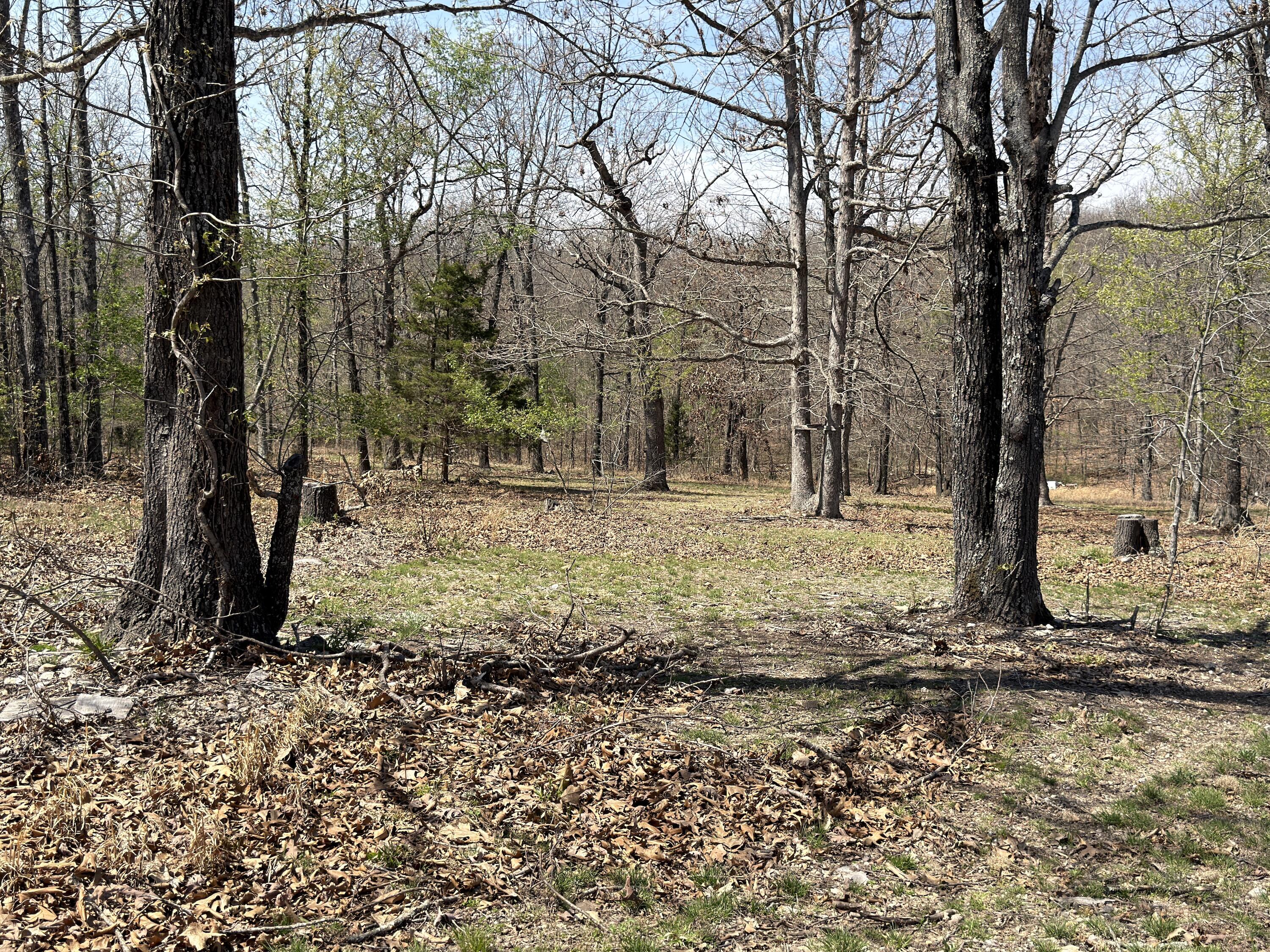 Photo 131 - Residential for sale – 2731  County Road 250   Thayer, MO