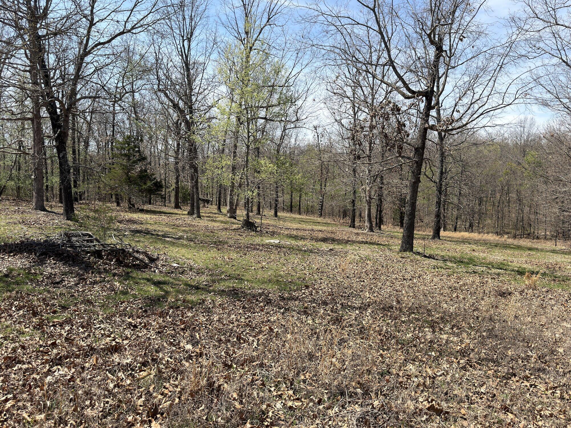 Photo 130 - Residential for sale – 2731  County Road 250   Thayer, MO