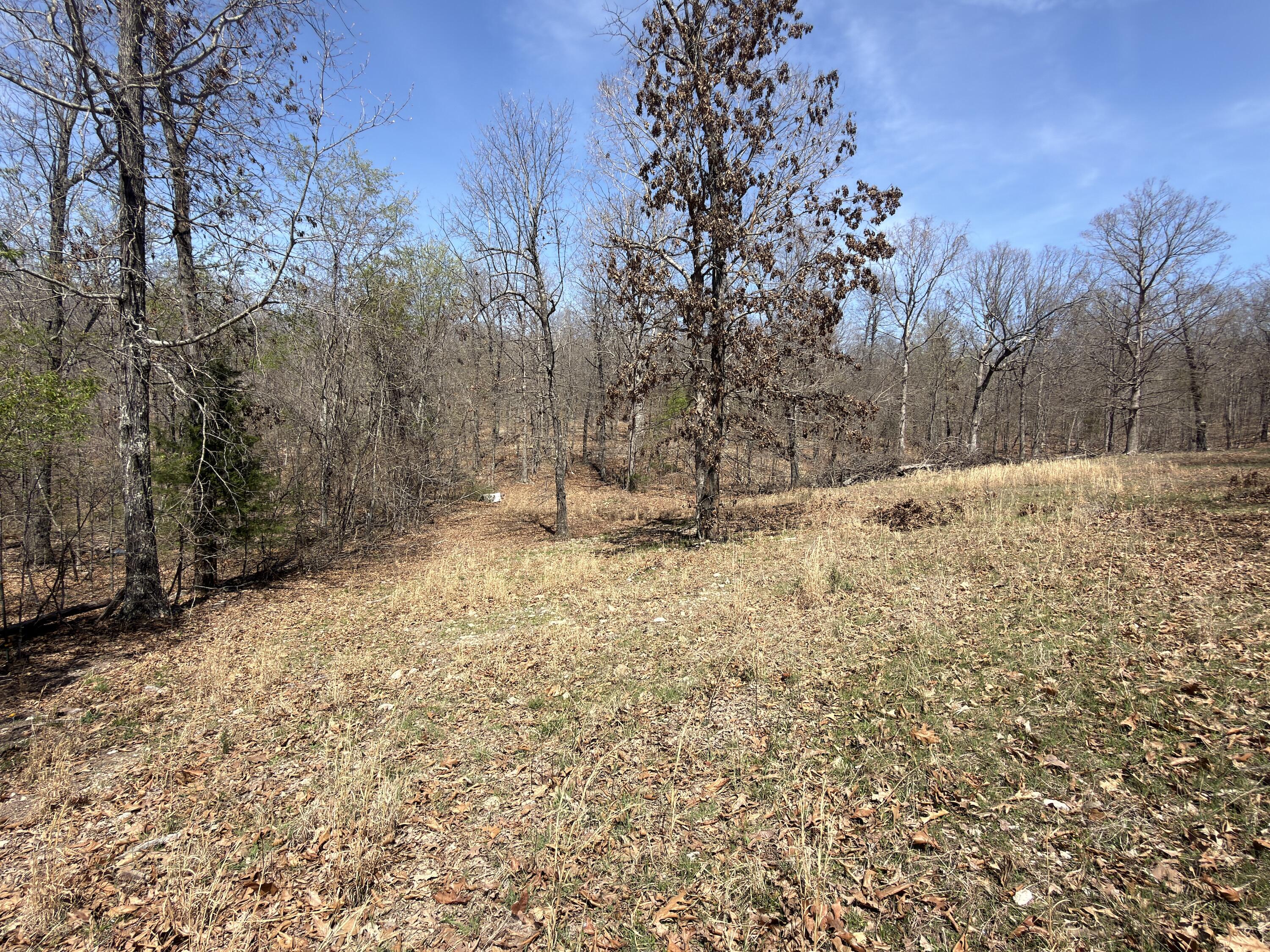 Photo 140 - Residential for sale – 2731  County Road 250   Thayer, MO