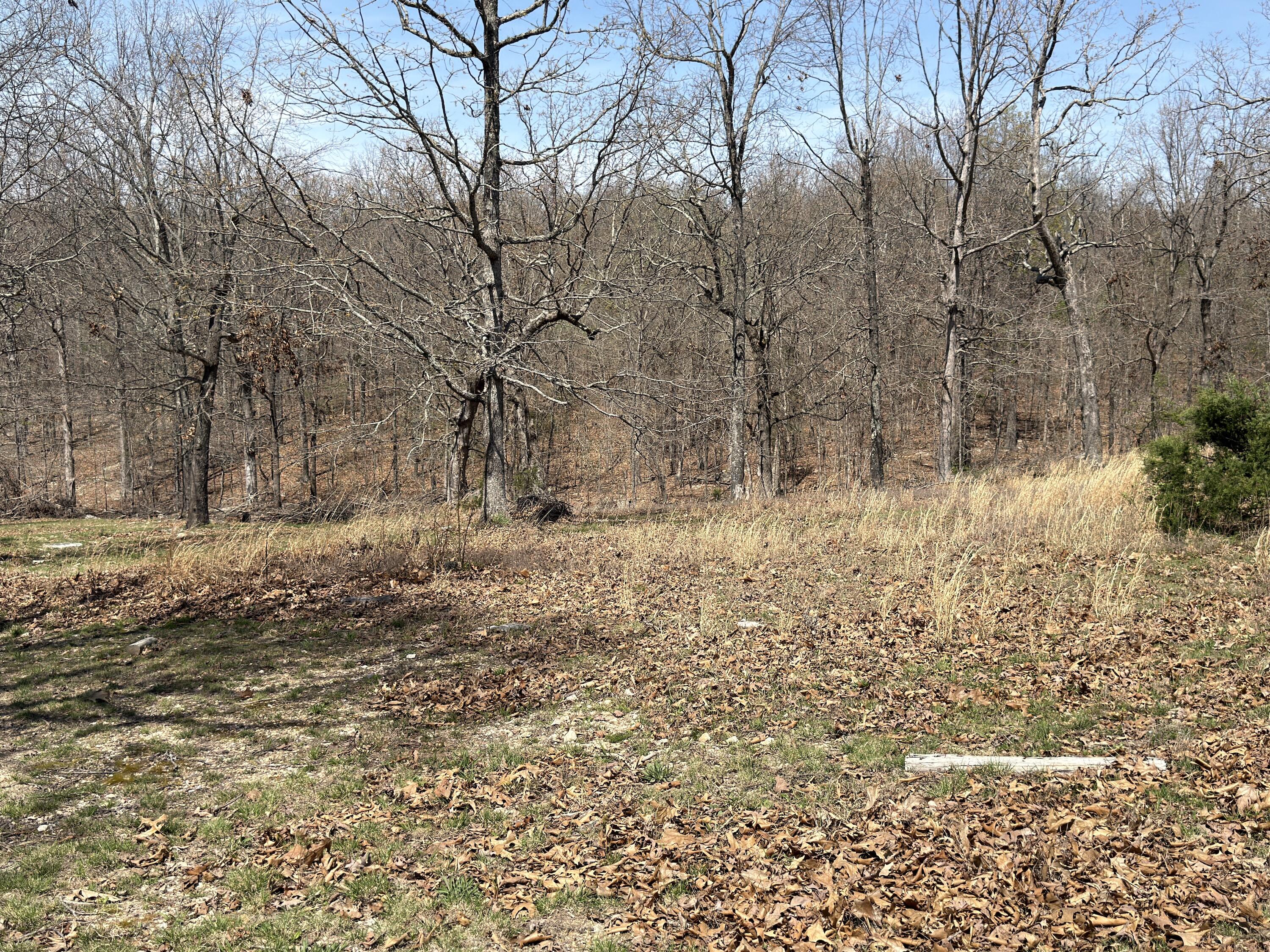 Photo 90 - Residential for sale – 2731  County Road 250   Thayer, MO