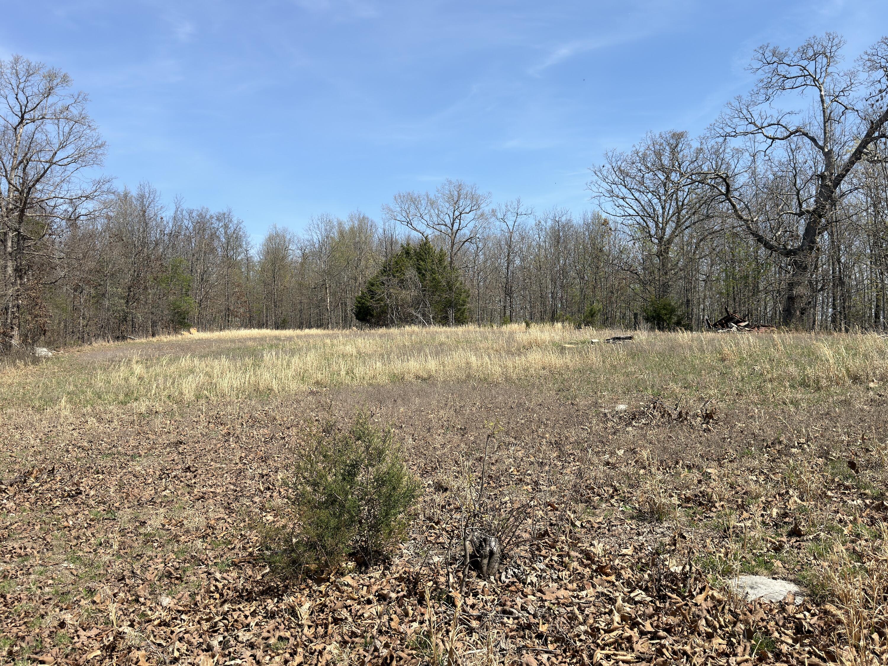 Photo 129 - Residential for sale – 2731  County Road 250   Thayer, MO