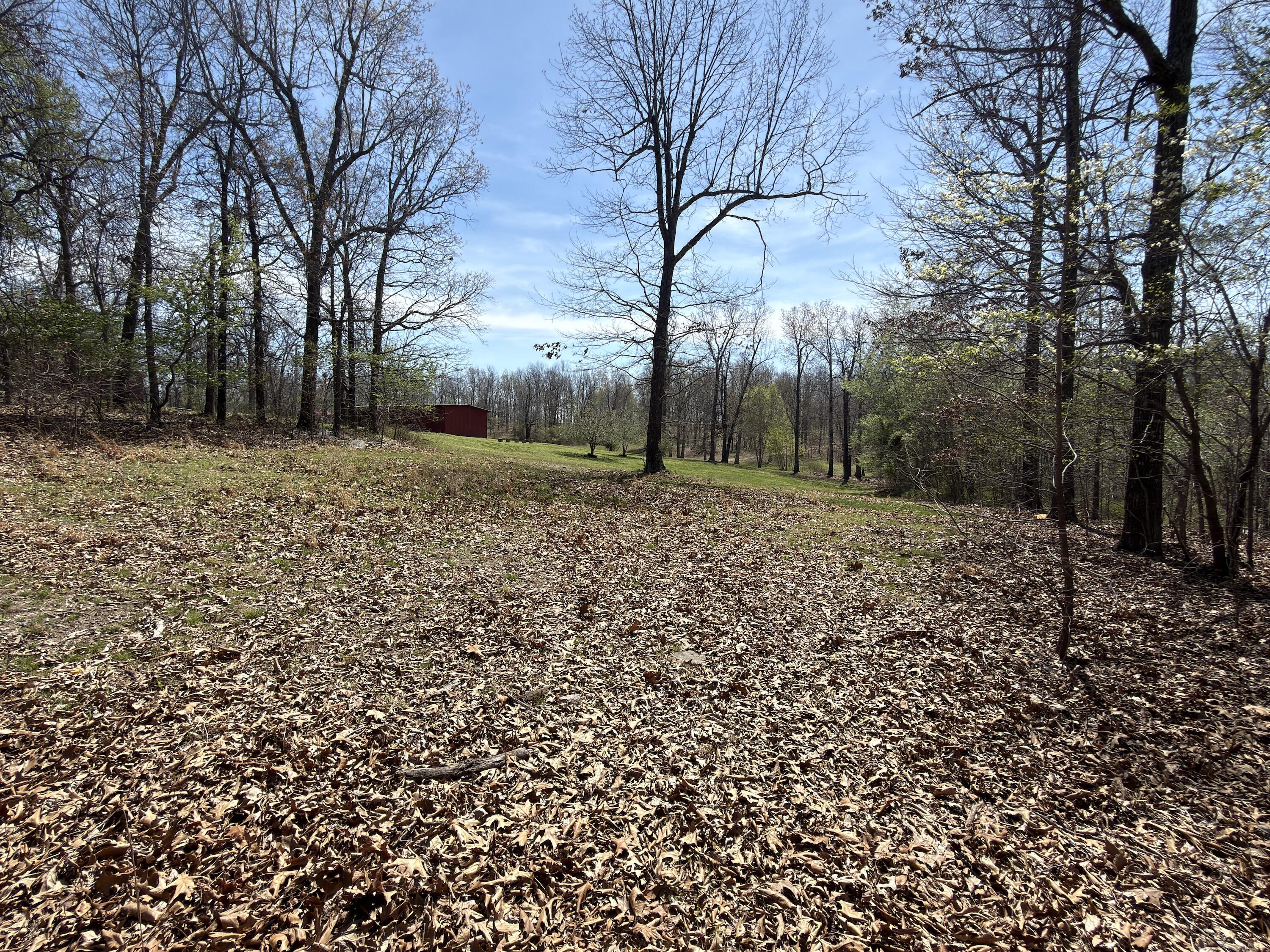 Photo 106 - Residential for sale – 2731  County Road 250   Thayer, MO