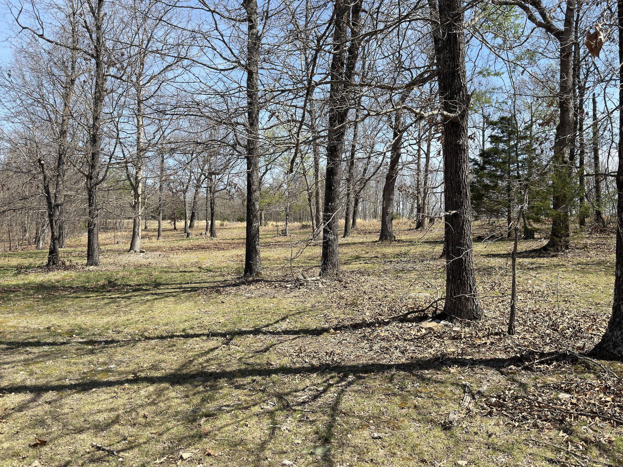 Photo 128 - Residential for sale – 2731  County Road 250   Thayer, MO