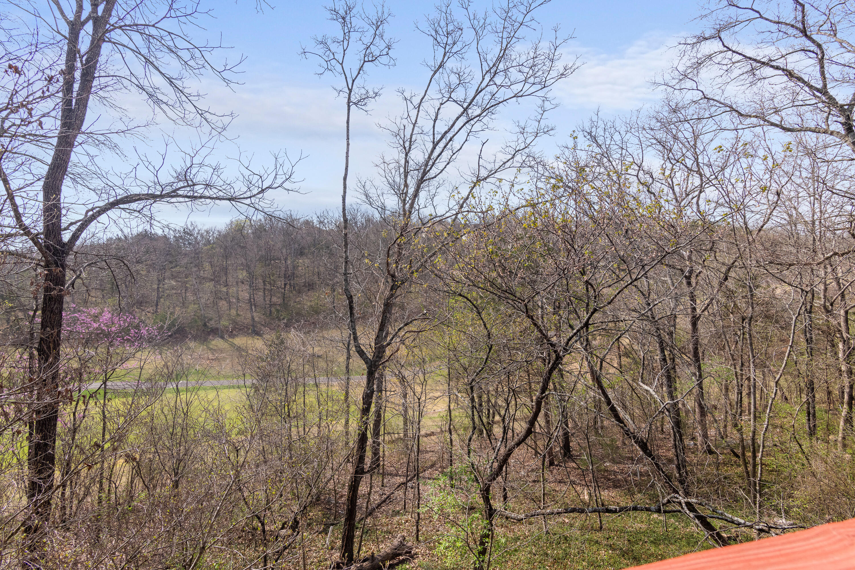 Photo 33 - Residential for sale – 917  Silver Bluff Circle  Branson West, MO