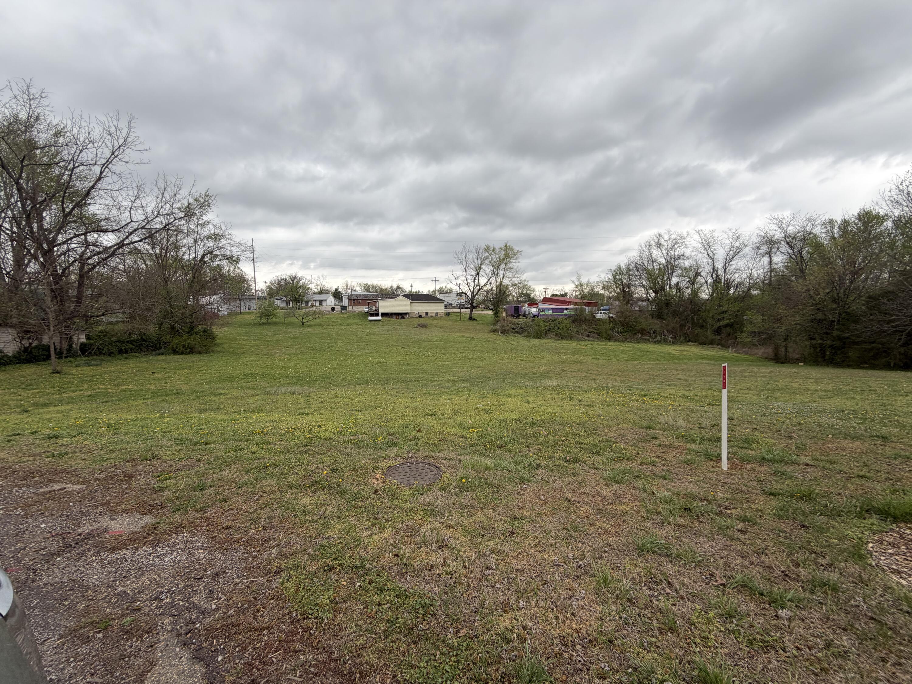 Photo 5 - Land for sale – 000 E Fourth Street  Mountain View, MO