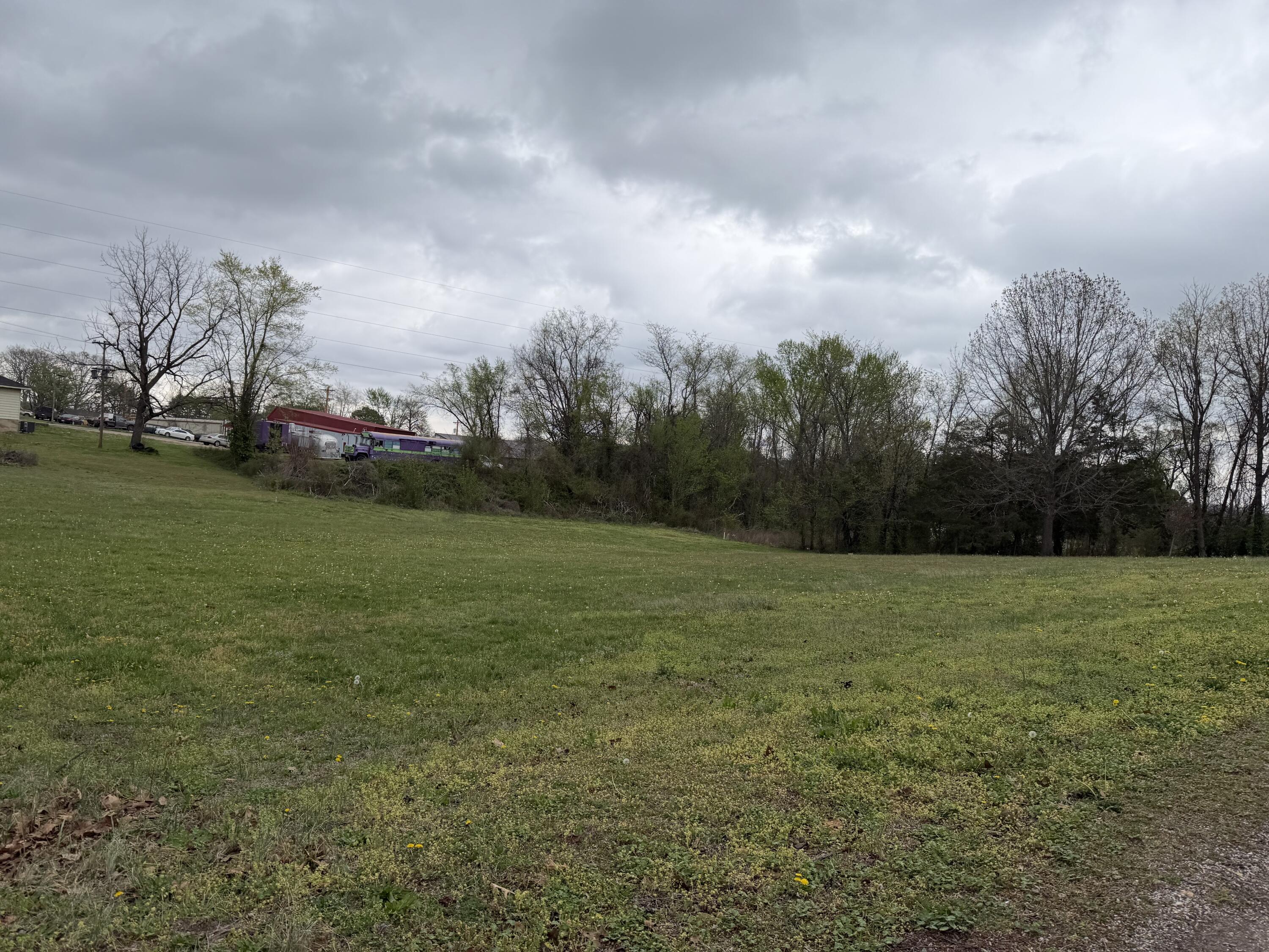 Photo 2 - Land for sale – 000 E Fourth Street  Mountain View, MO