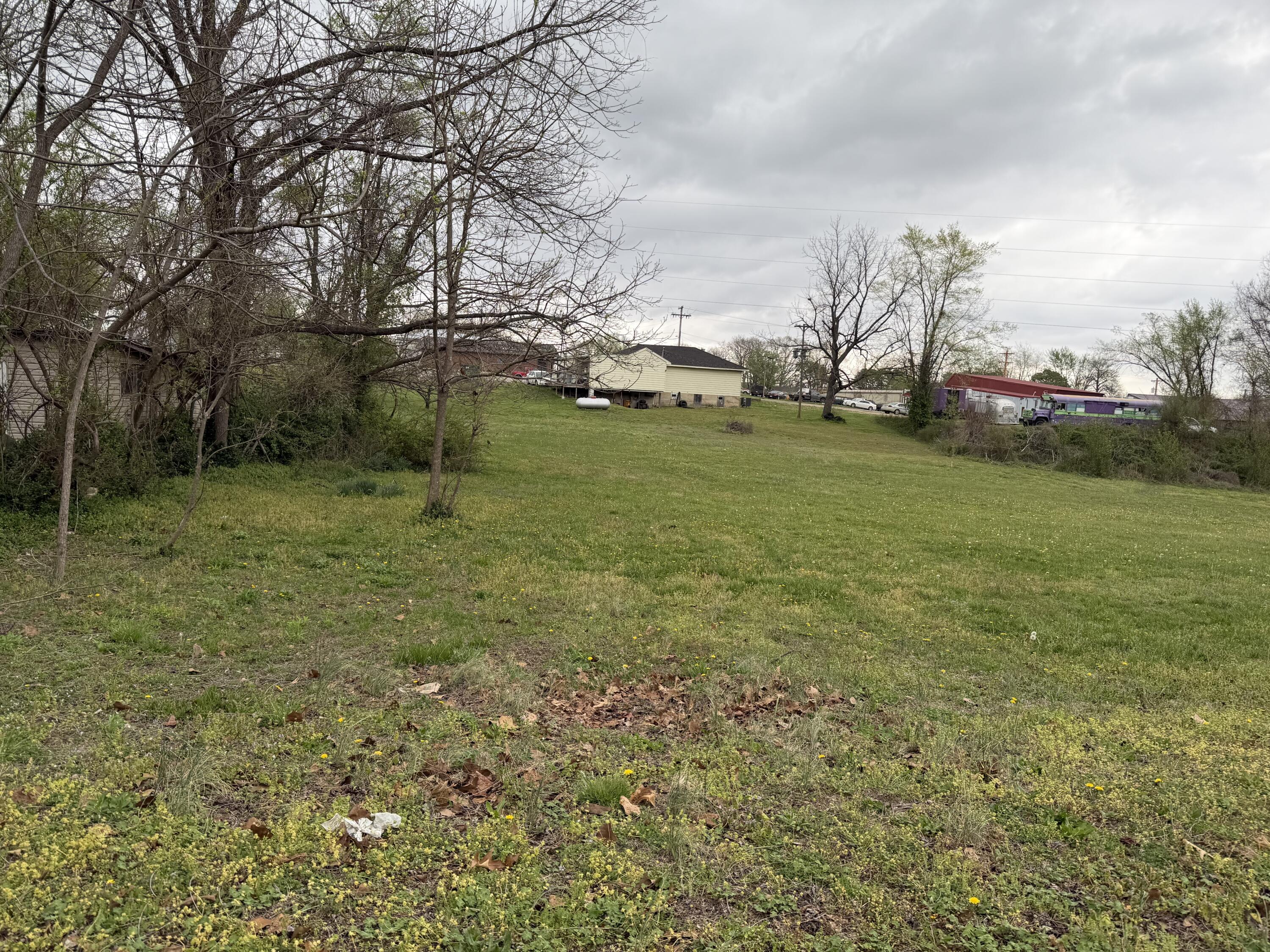 Photo 3 - Land for sale – 000 E Fourth Street  Mountain View, MO