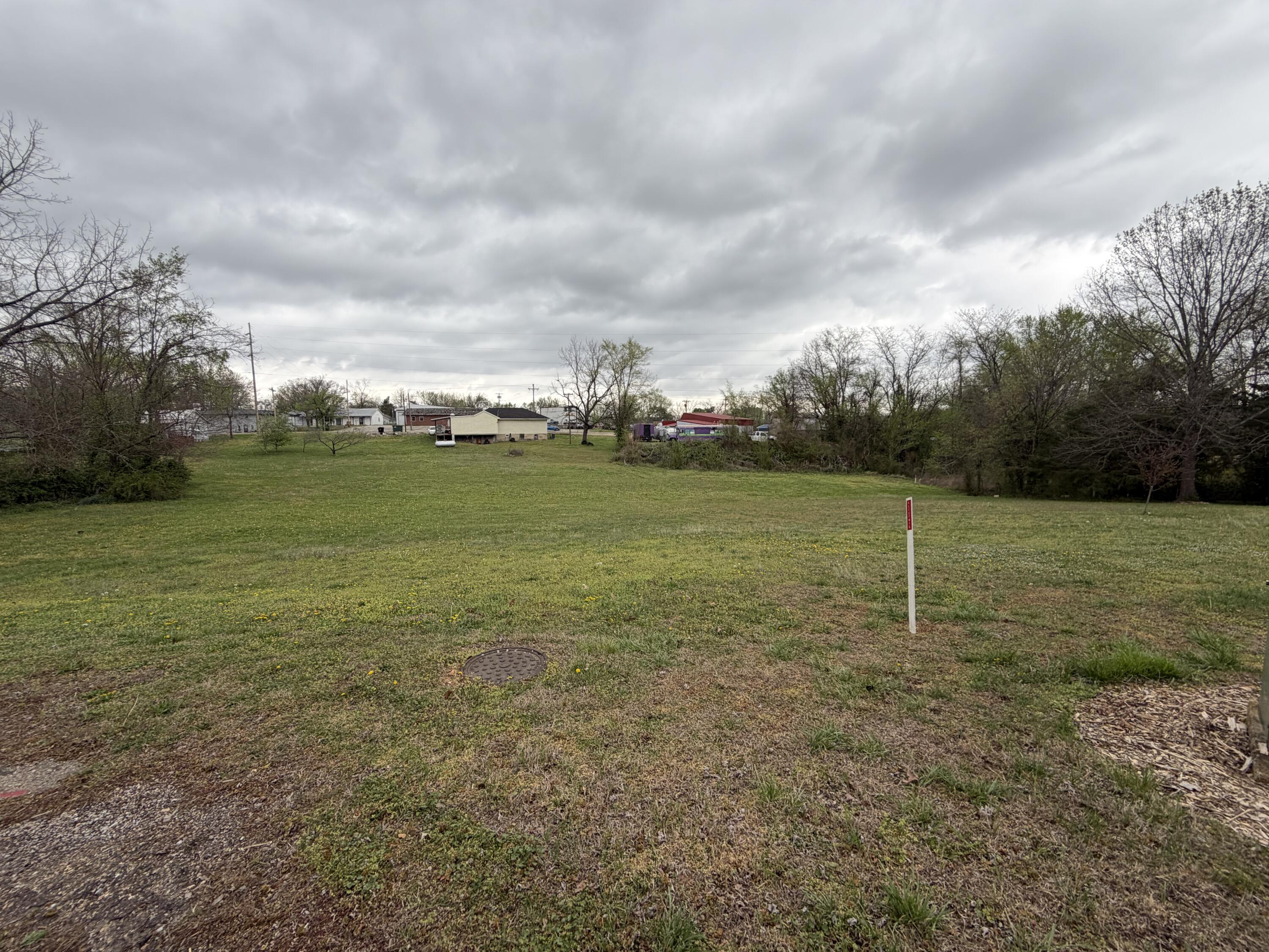 Photo 4 - Land for sale – 000 E Fourth Street  Mountain View, MO