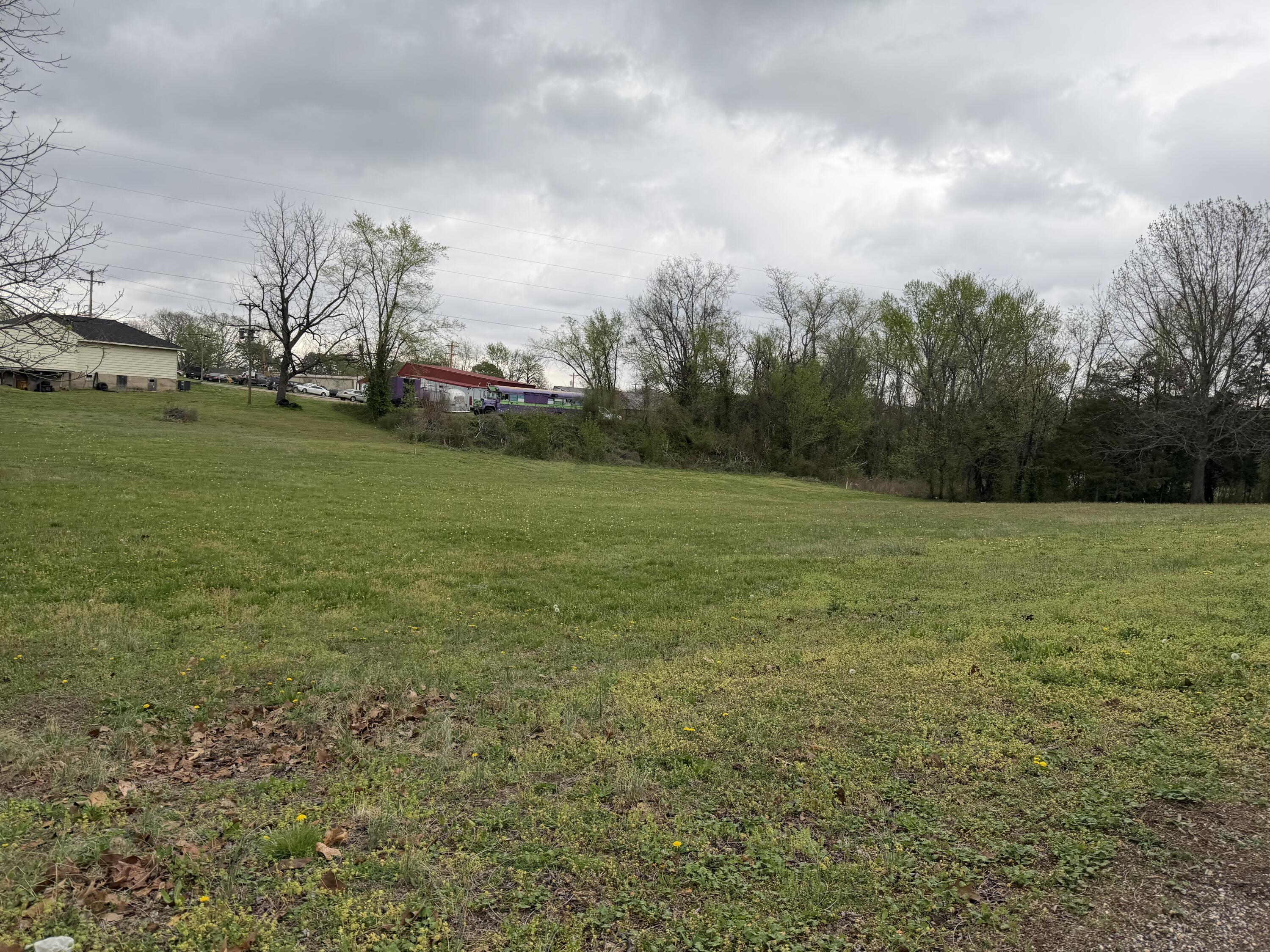 Land for sale – 000 E Fourth Street  Mountain View, MO