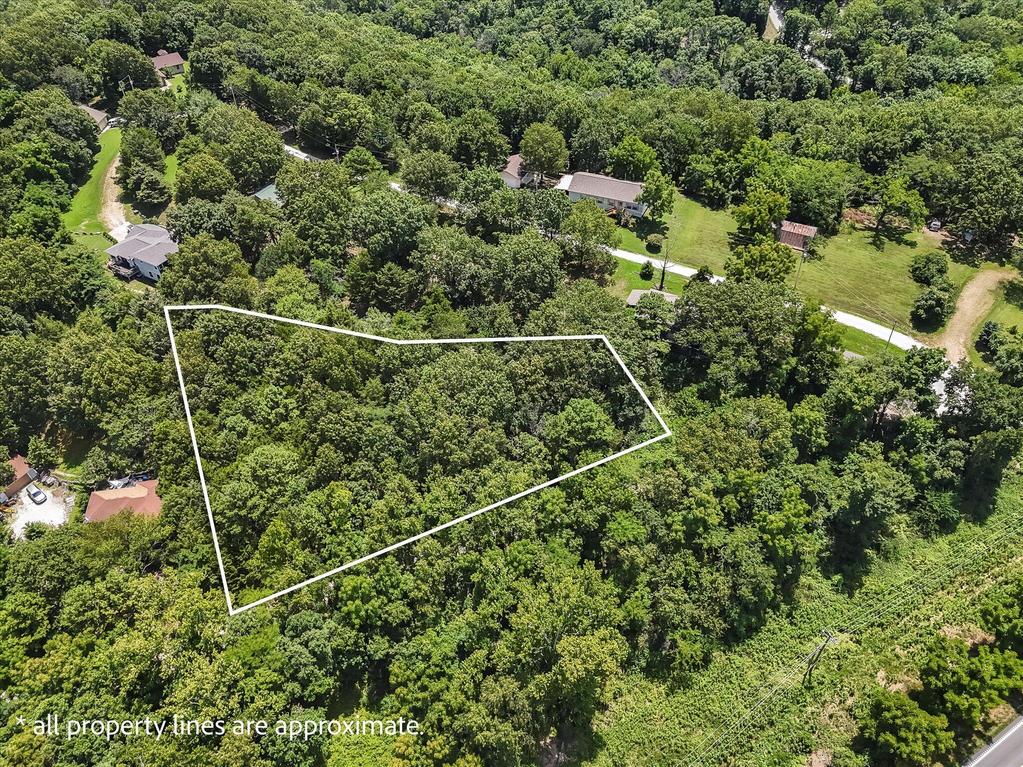 Photo 3 - Land for sale – 000  February Court  Kimberling City, MO