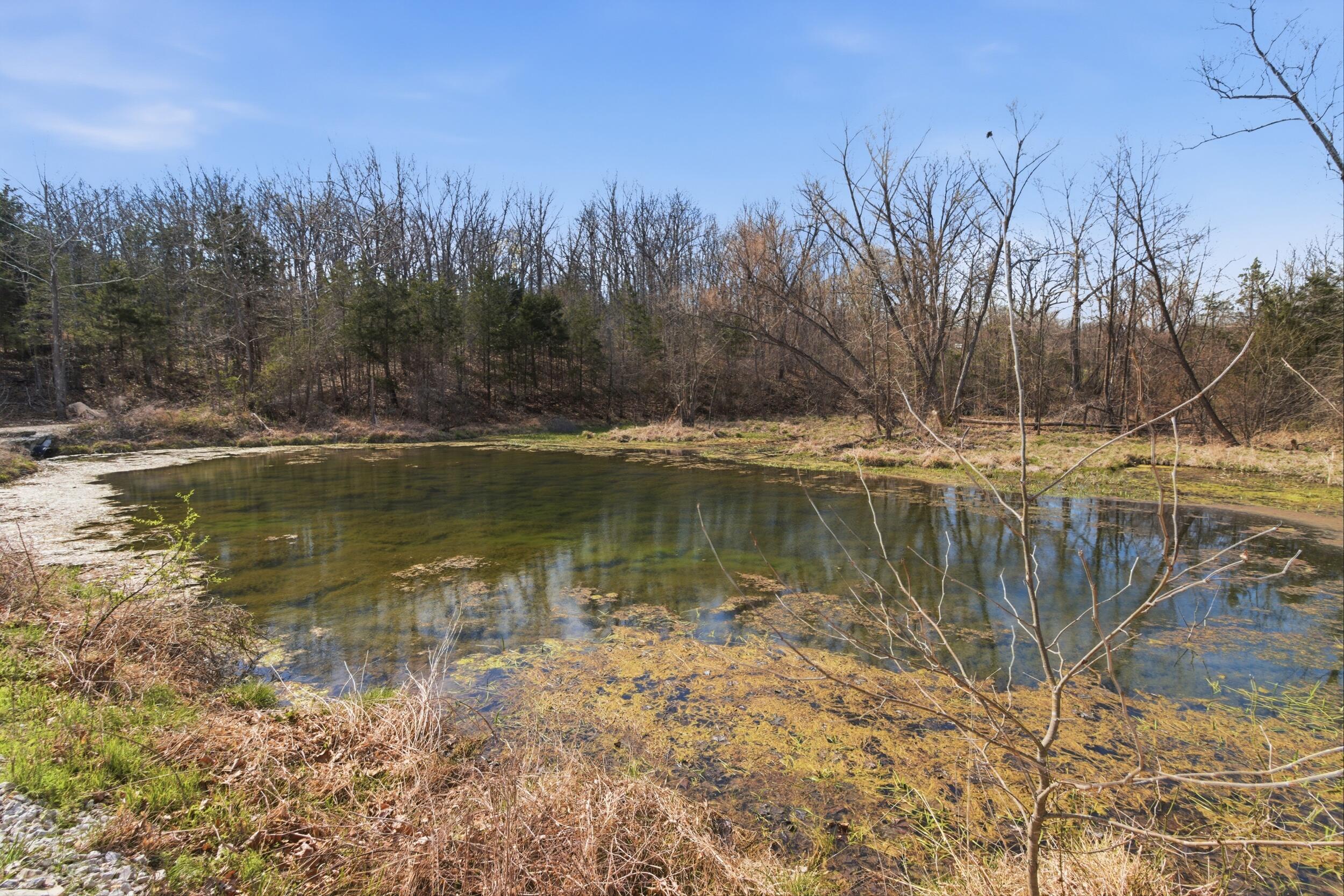Photo 15 - Farm for sale – 2480  County Road  Wasola, MO