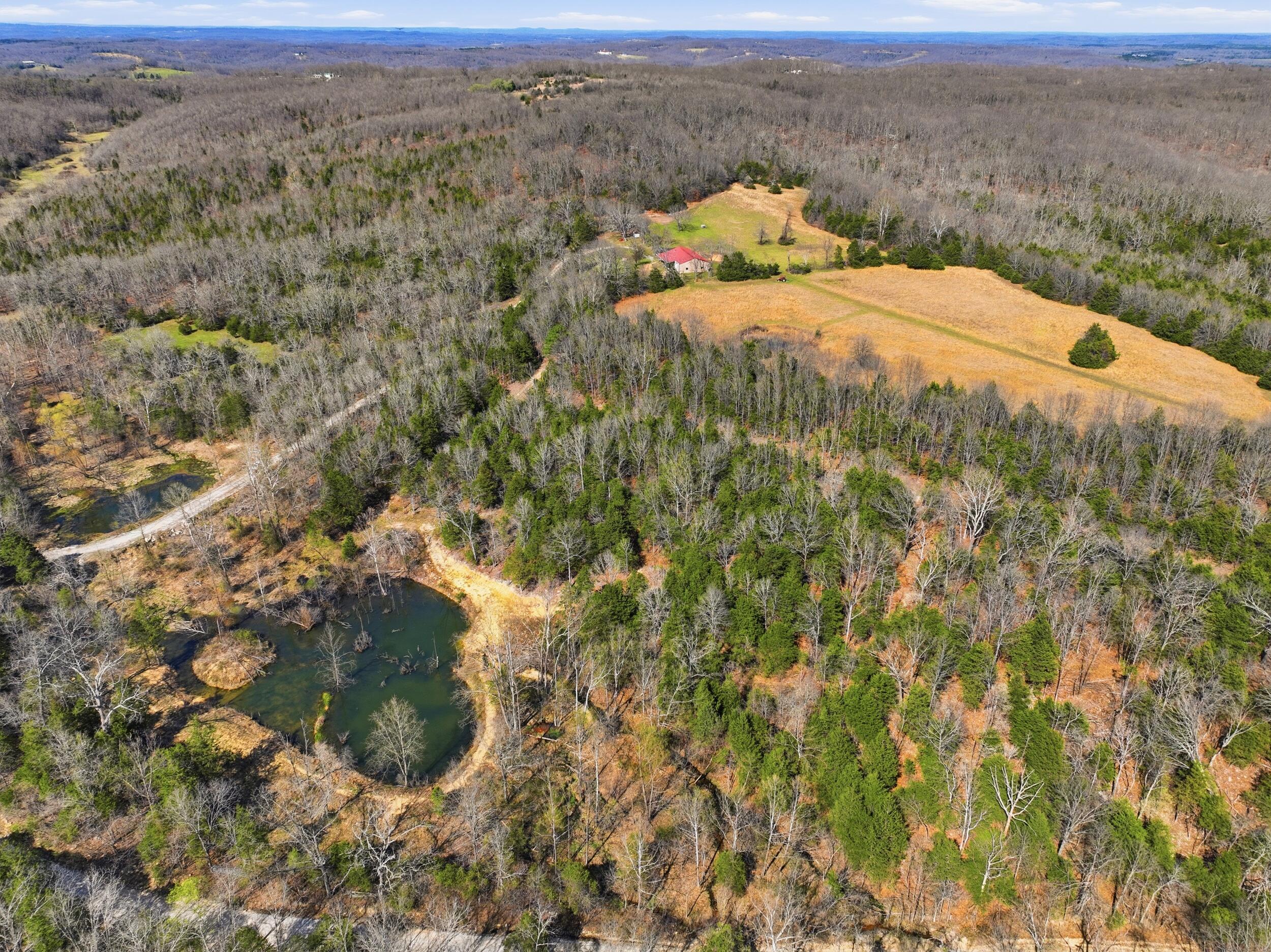 Photo 35 - Farm for sale – 2480  County Road  Wasola, MO