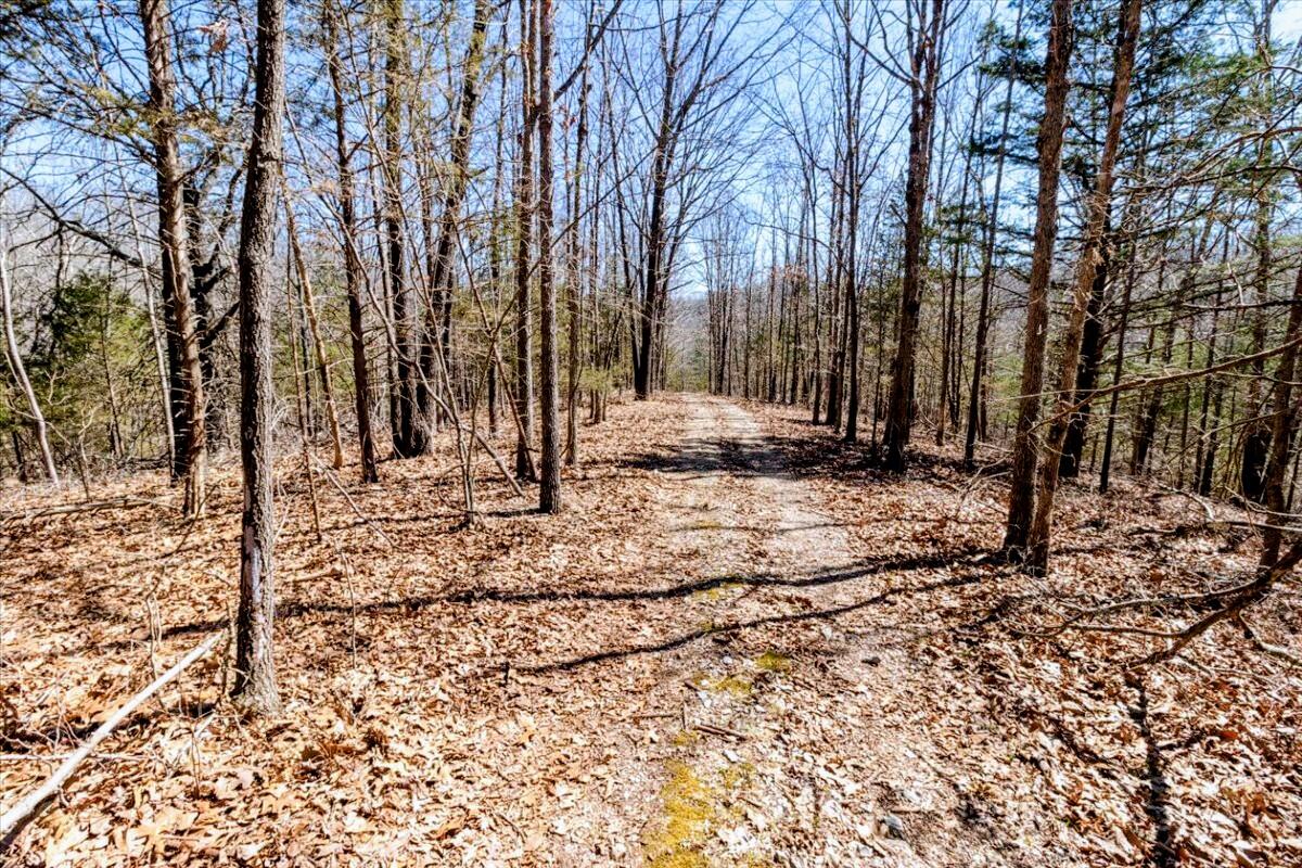 Photo 57 - Farm for sale – 2480  County Road  Wasola, MO