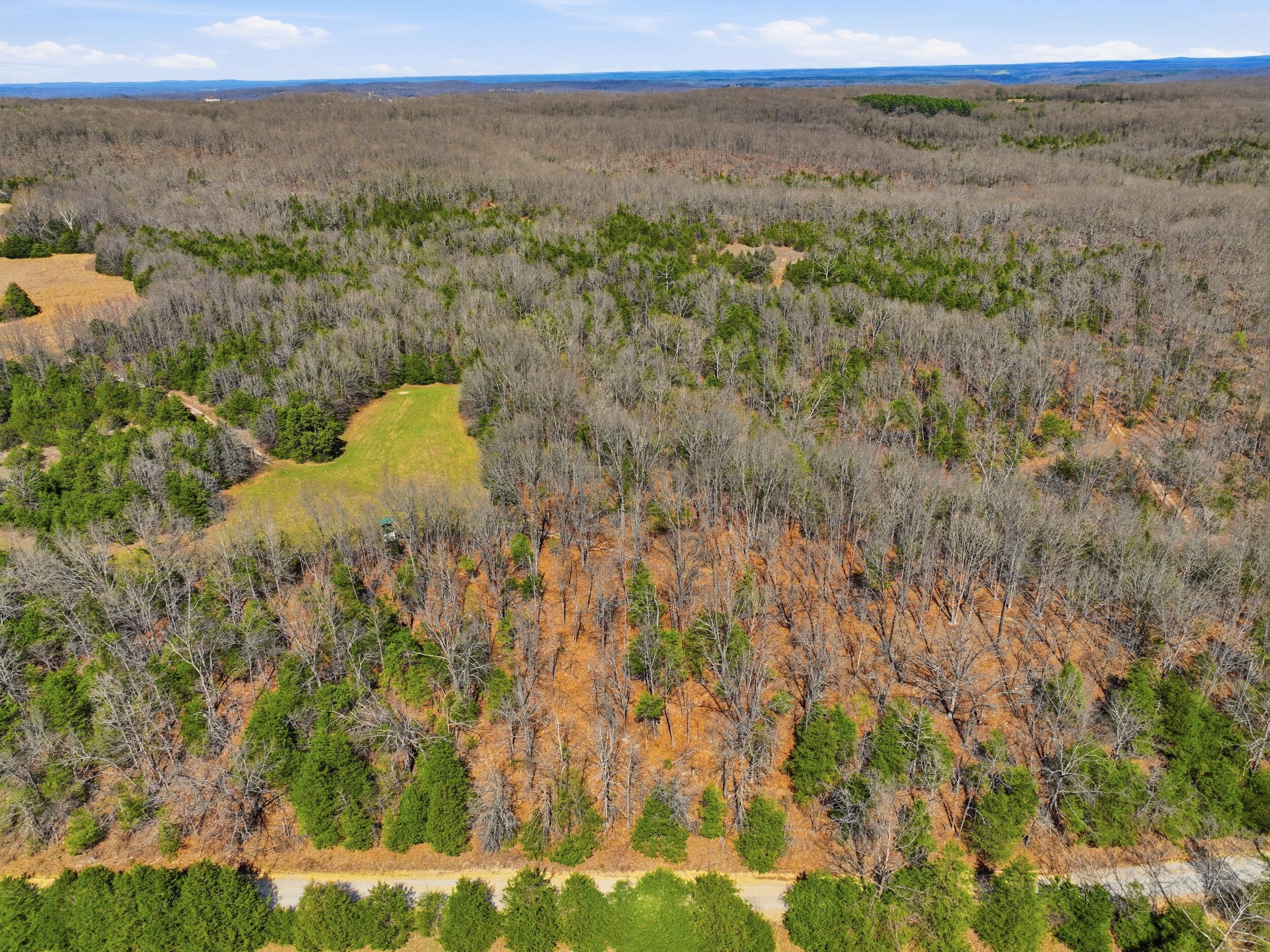Photo 38 - Farm for sale – 2480  County Road  Wasola, MO