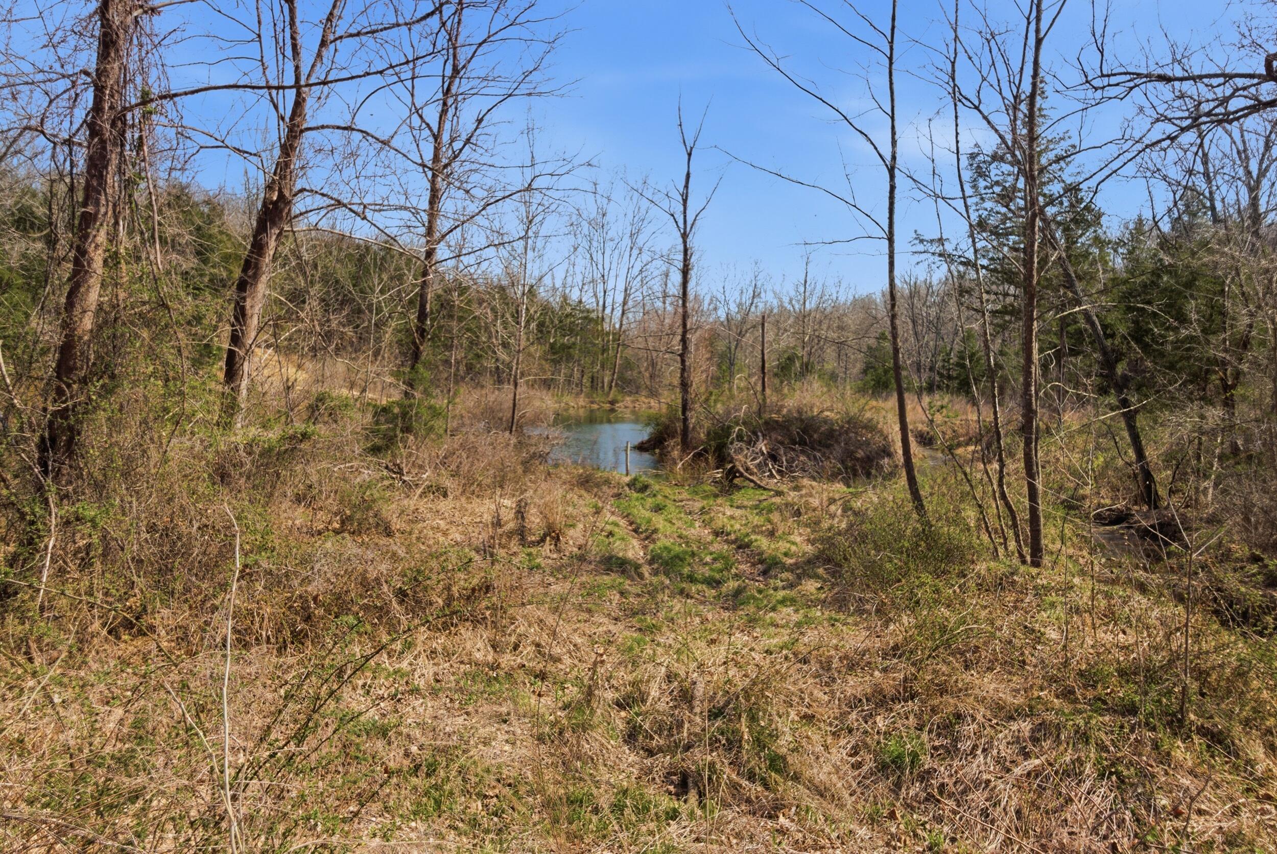 Photo 16 - Farm for sale – 2480  County Road  Wasola, MO