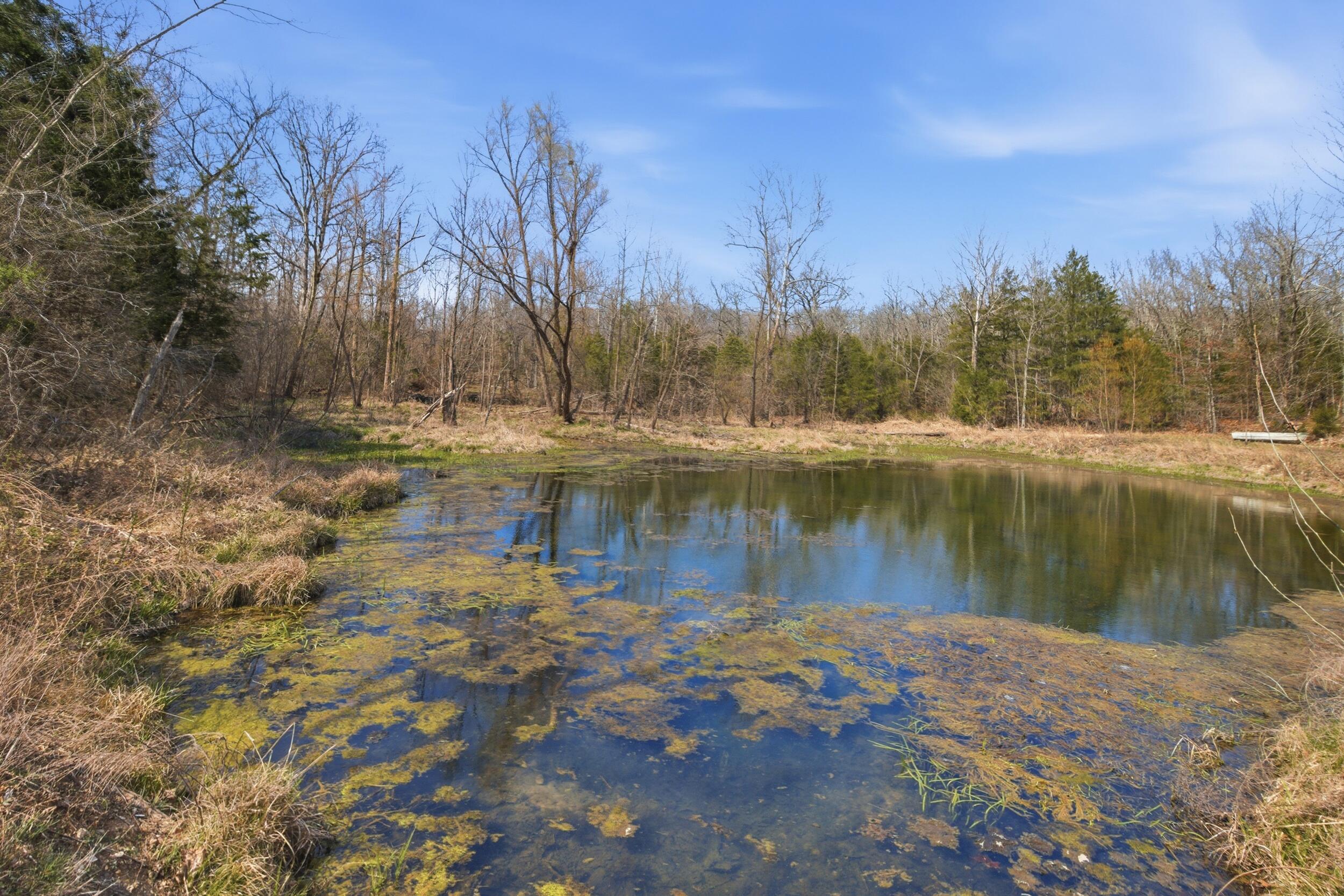 Photo 17 - Farm for sale – 2480  County Road  Wasola, MO