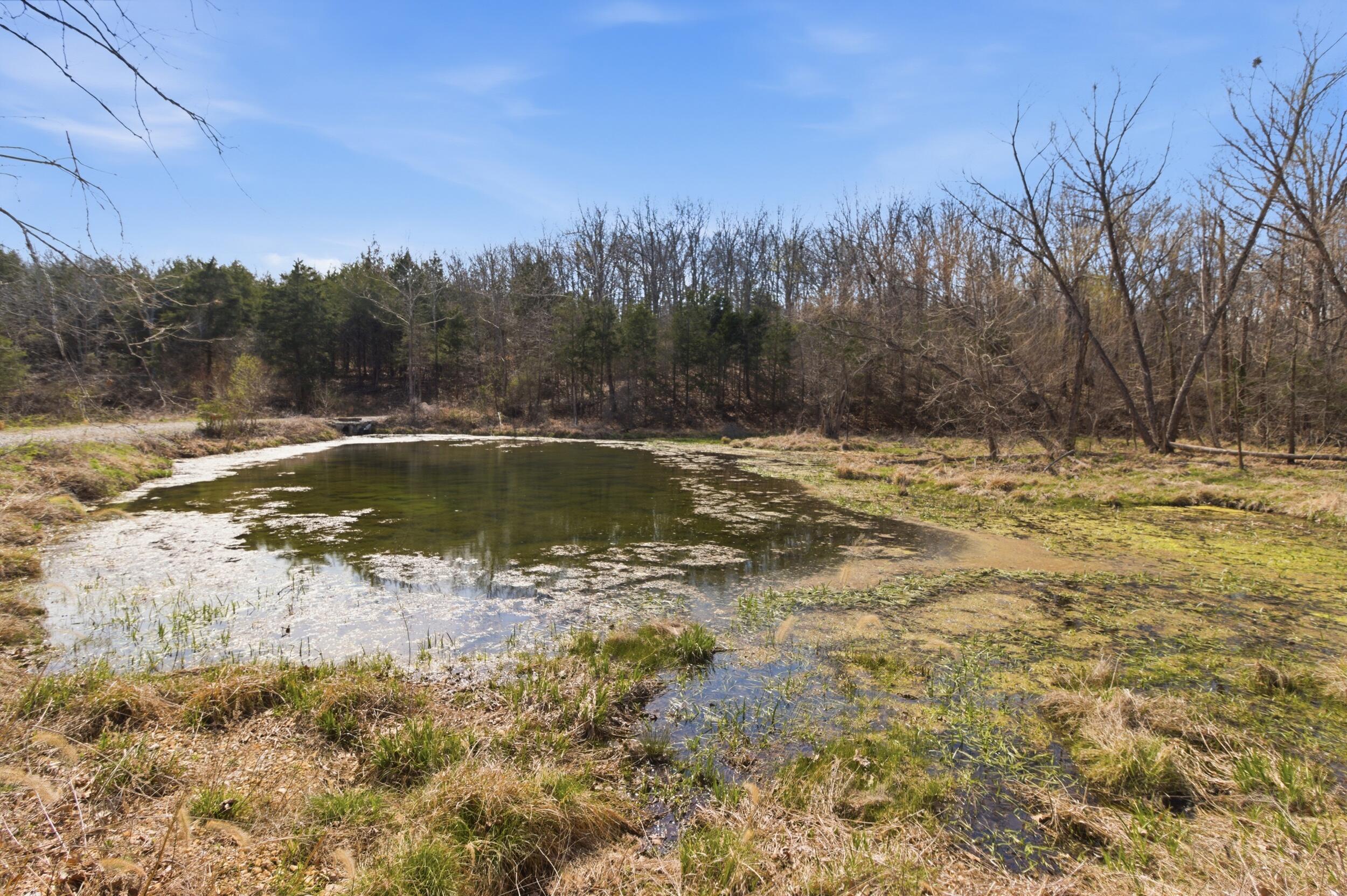 Photo 14 - Farm for sale – 2480  County Road  Wasola, MO