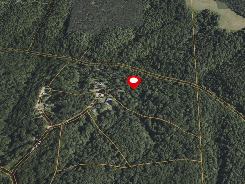 Photo 13 - Land for sale – 256  Windsor Lane  Pineville, MO