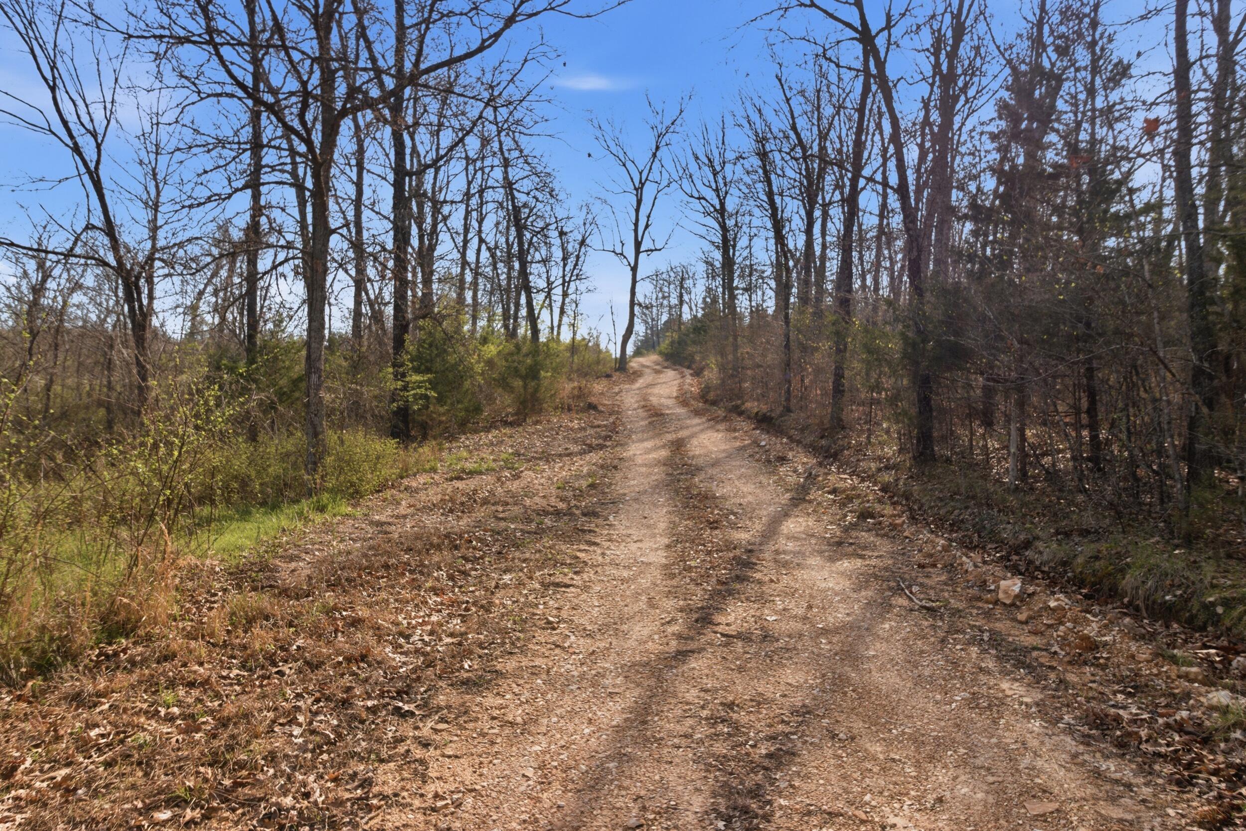 Photo 44 - Farm for sale – 557  Hagewood Lane  Theodosia, MO