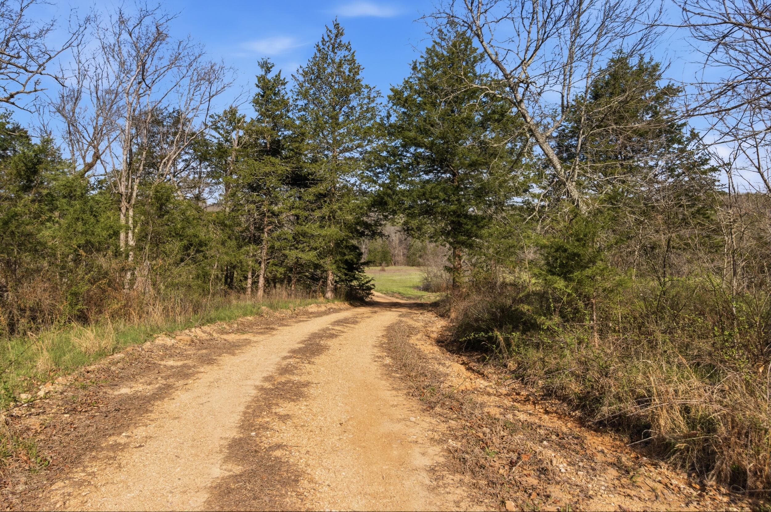Photo 31 - Farm for sale – 557  Hagewood Lane  Theodosia, MO