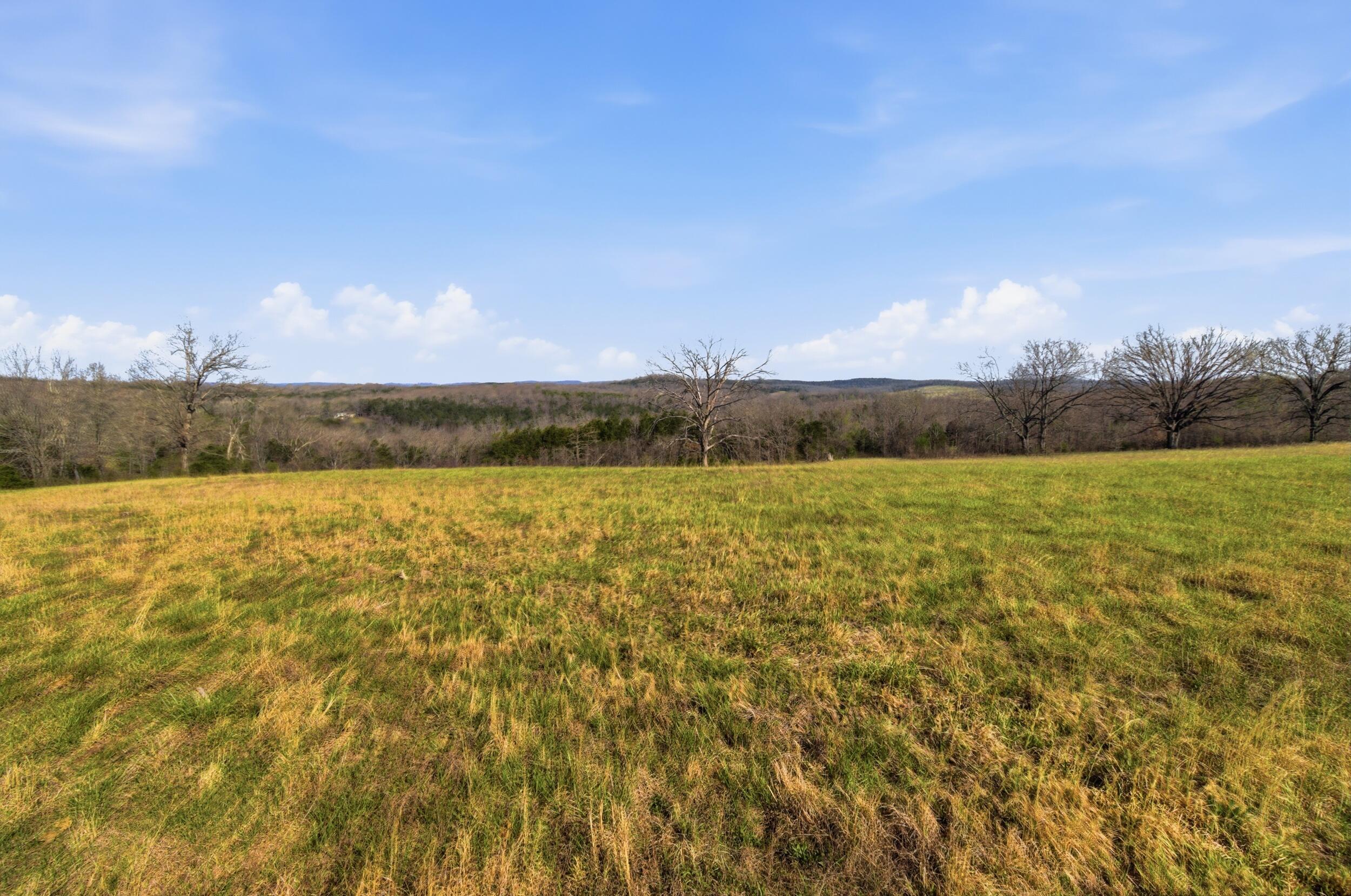 Photo 43 - Farm for sale – 557  Hagewood Lane  Theodosia, MO