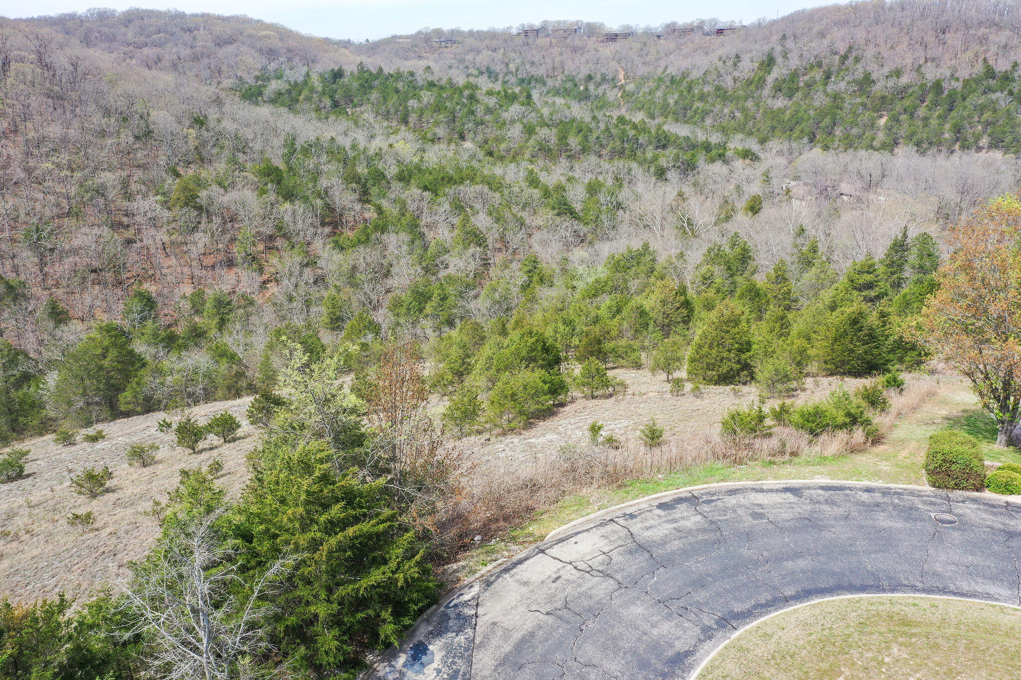 Photo 2 - Land for sale – Lot 8  Silver Oak Place  Branson West, MO
