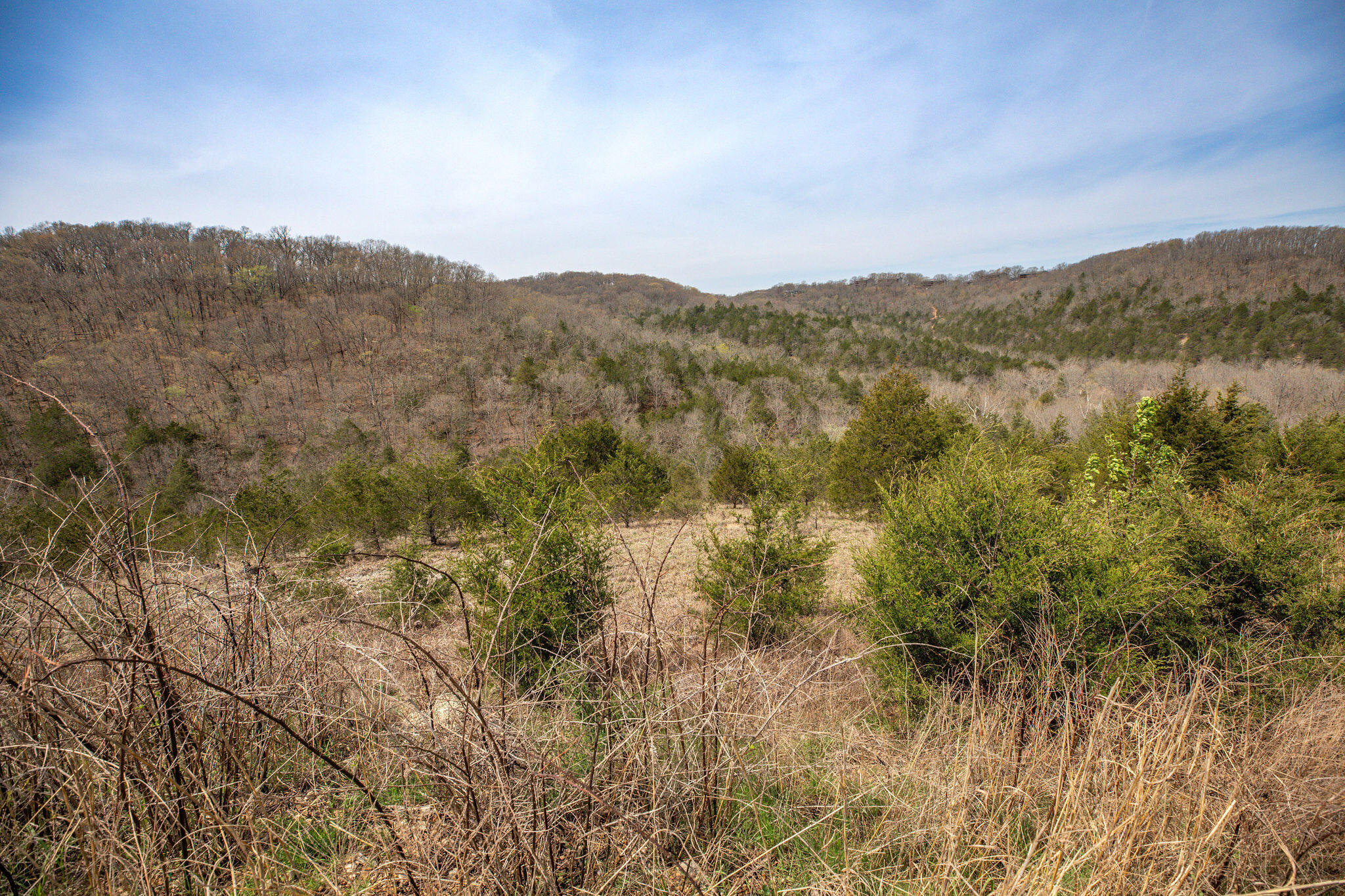 Photo 13 - Land for sale – Lot 8  Silver Oak Place  Branson West, MO