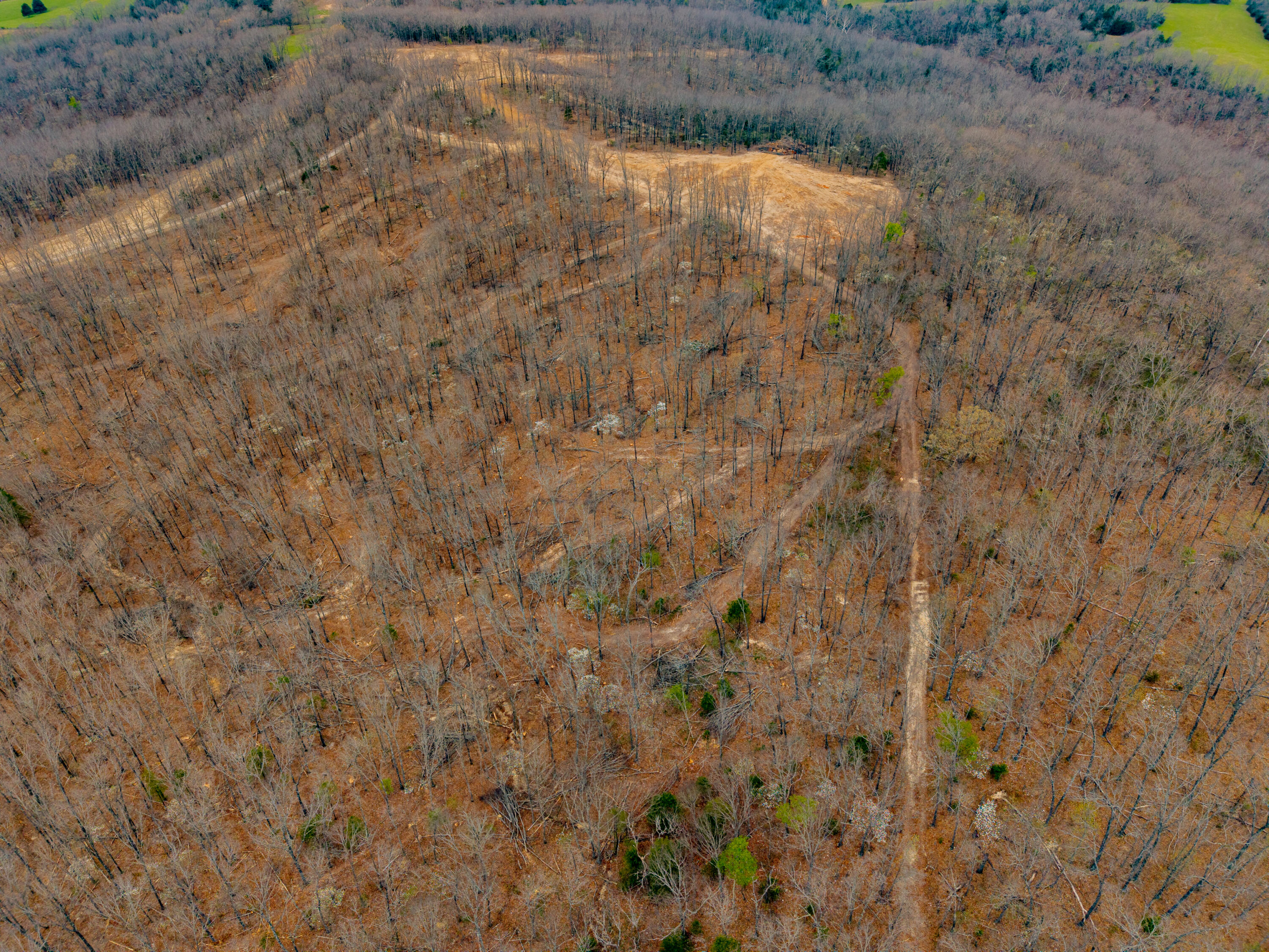 Photo 14 - Land for sale – 000 E Highway 14   Ava, MO